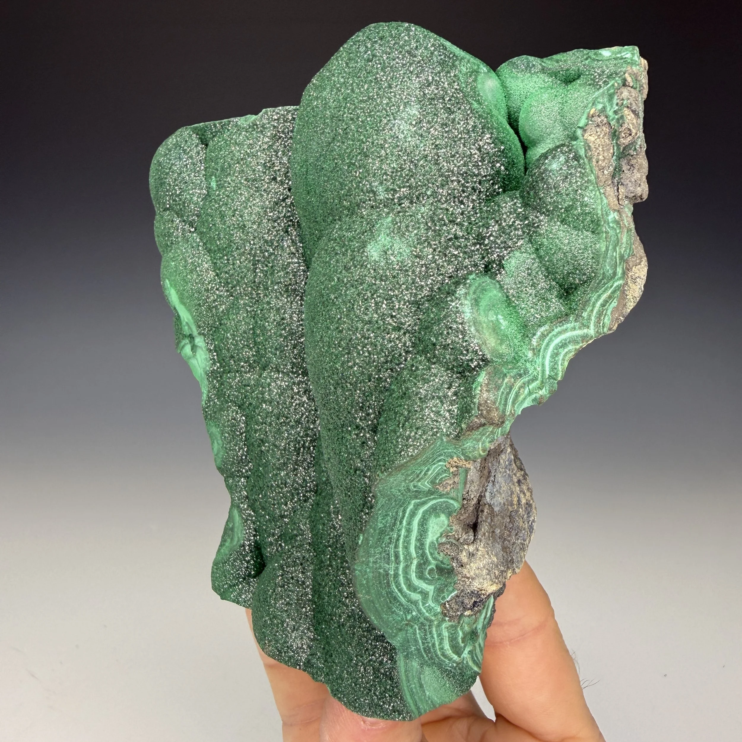 IMG_0058.JPG
