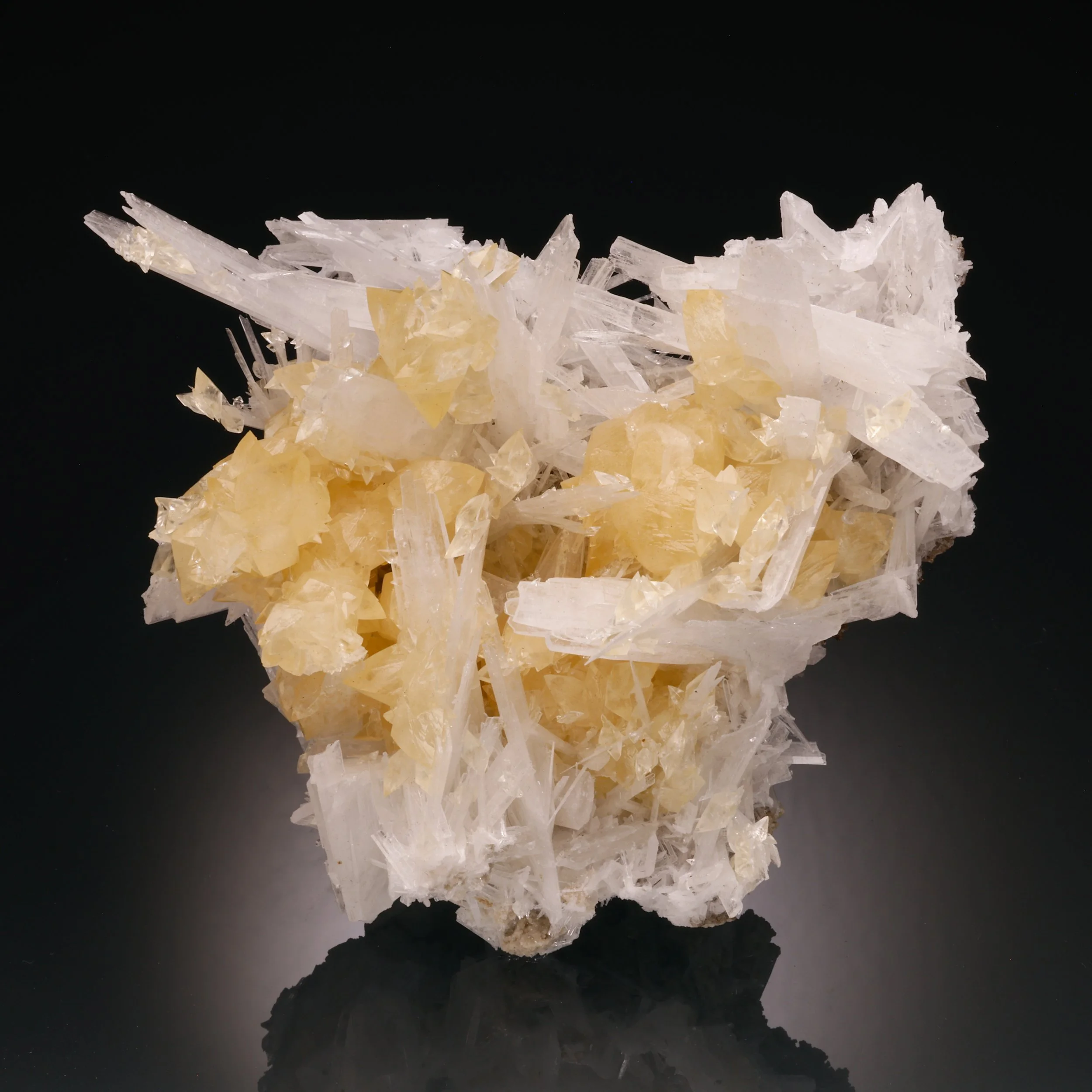 DanZellnerMineralPhotos5.19-4037.jpg