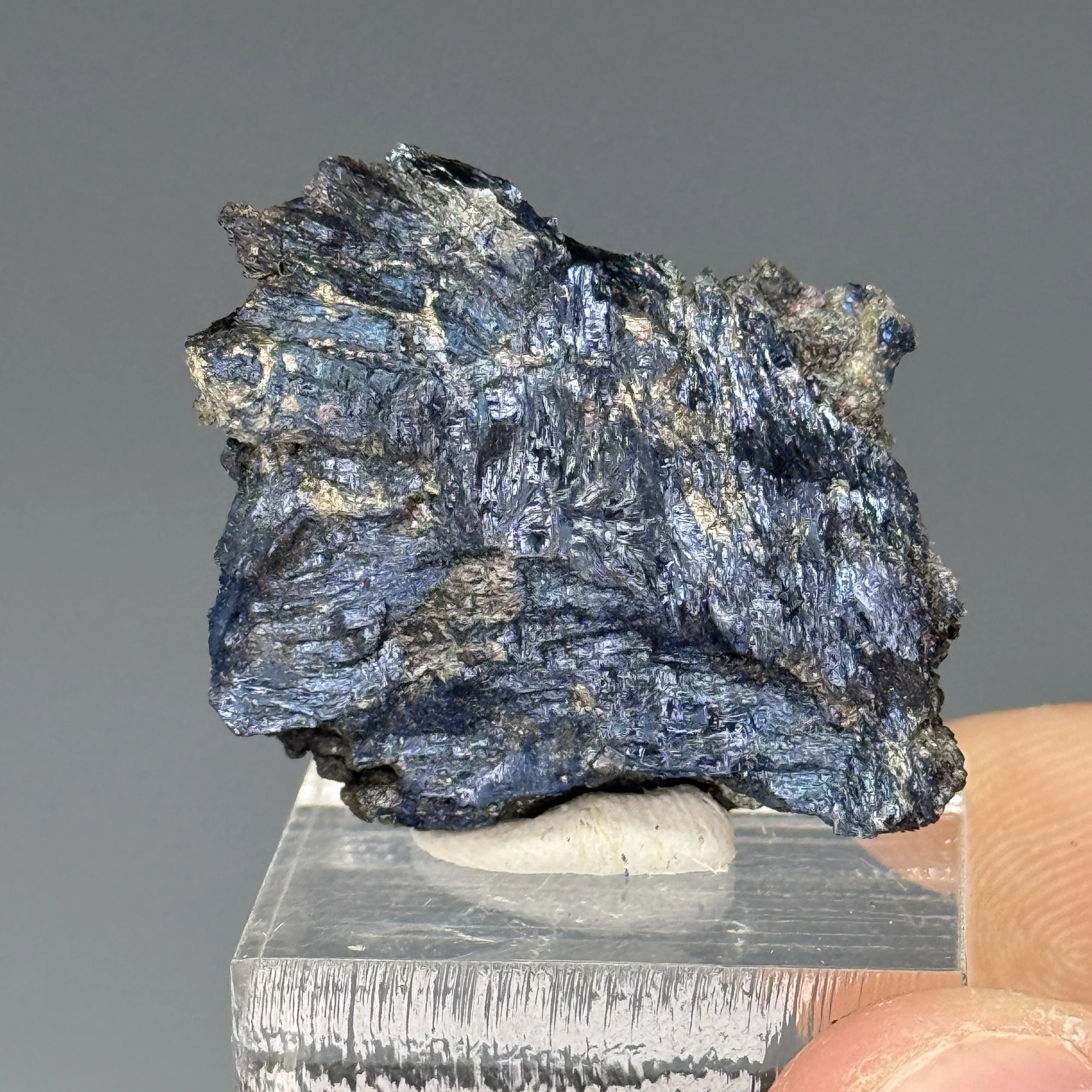 Covellite, Genessee Vanderbilt Mine, Ouray County, Colorado, USA