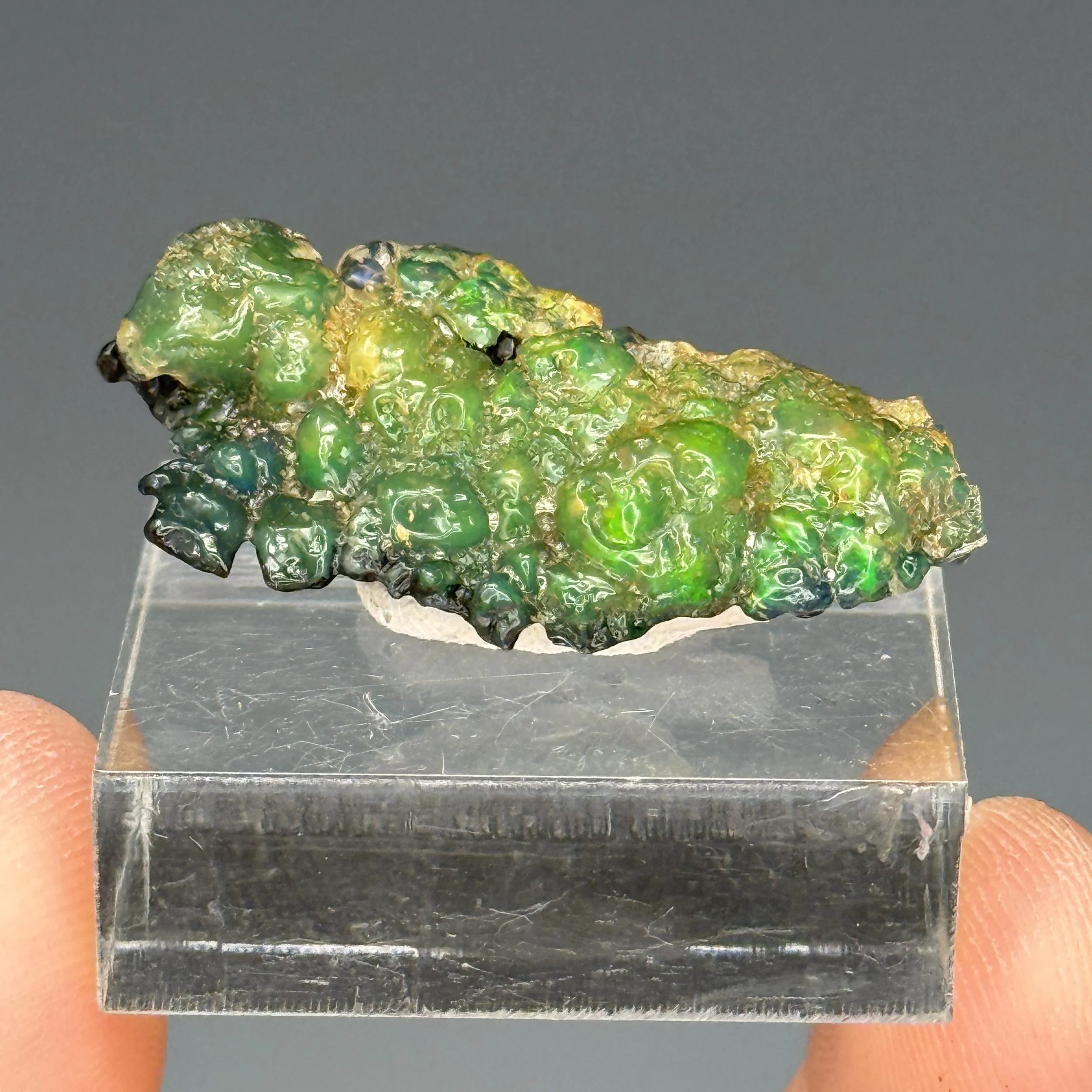 Opal, Zacatecas, Mexico