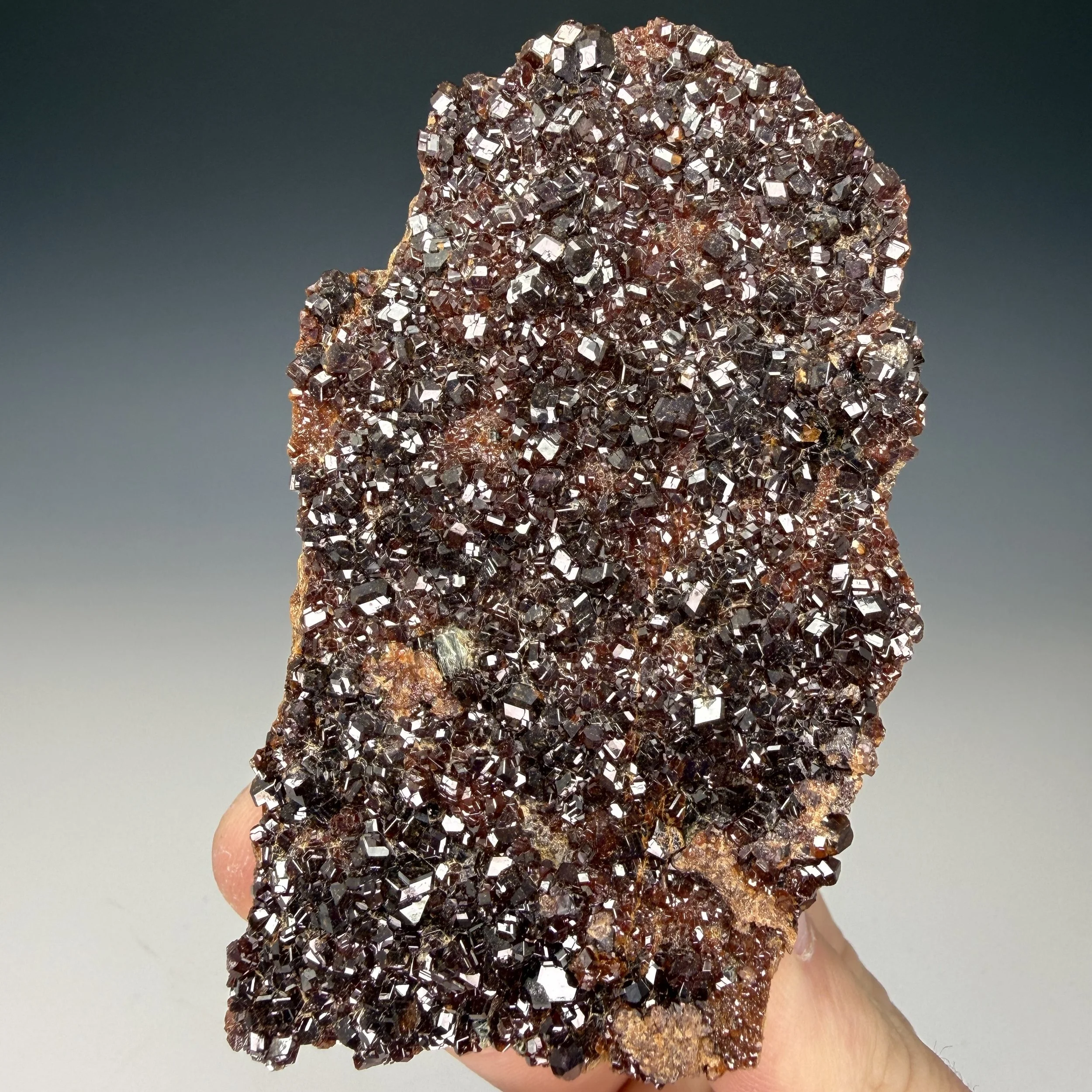 Grossularite, Testa Ciarva, Mussa Alp, Balme, Metropolitan City of Turin, Piedmont, Italy