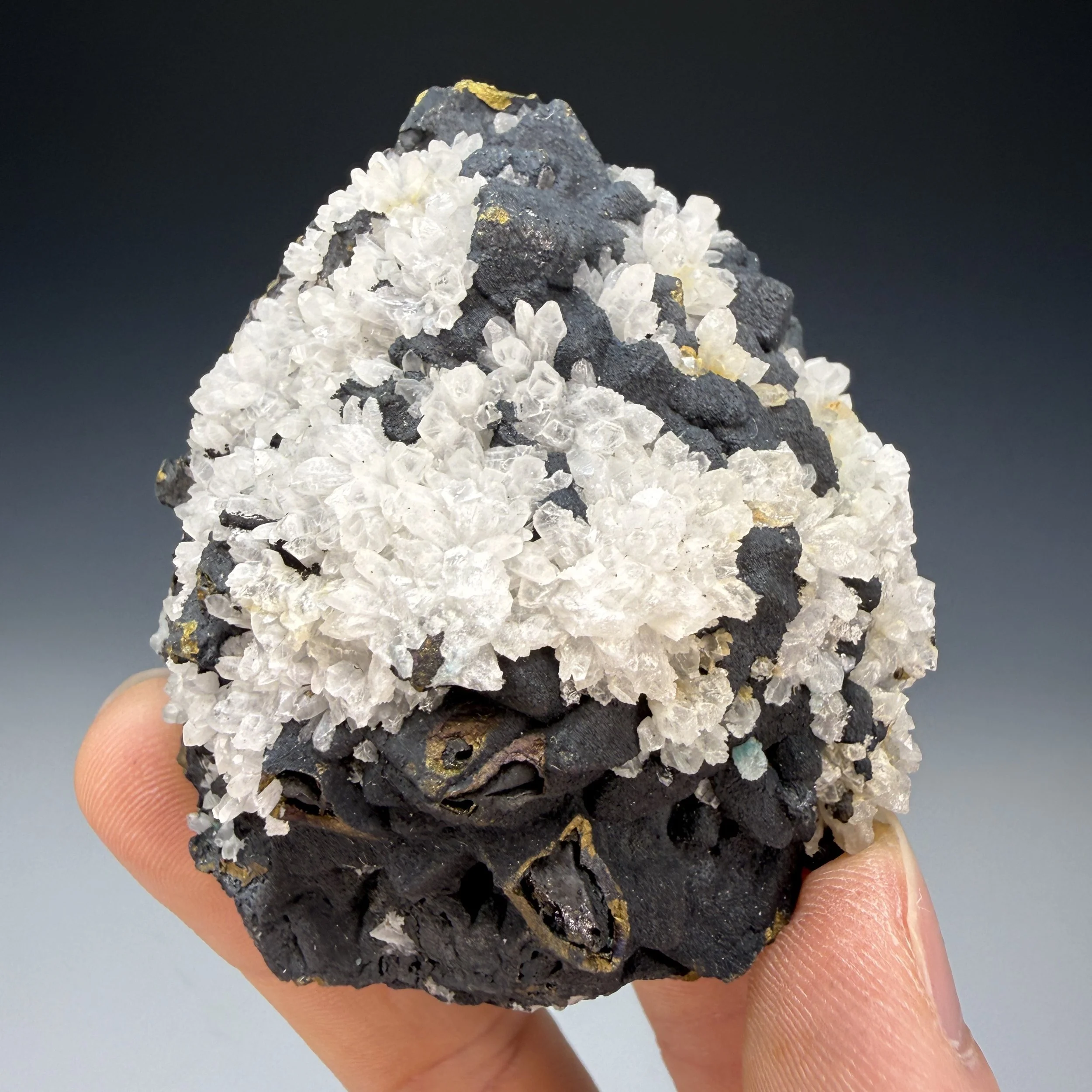 Chalcopyrite Ps. Enargite, Quartz, Butte Mining District, Silver Bow County, Montana, USA