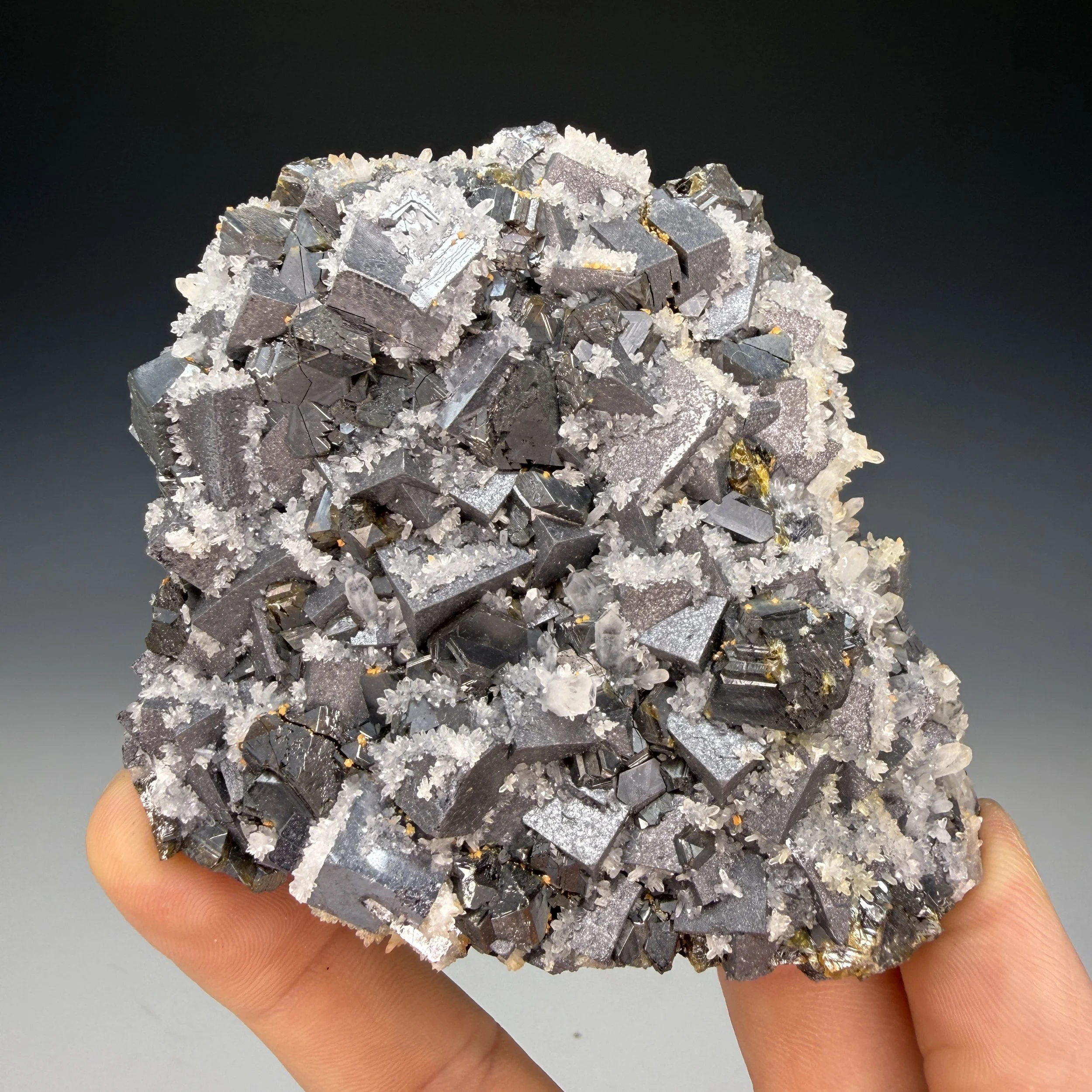 Galena, Sphalerite, Quartz, Pyrite, Krushev dol Mine, Madan, Smolyan Province, Bulgaria