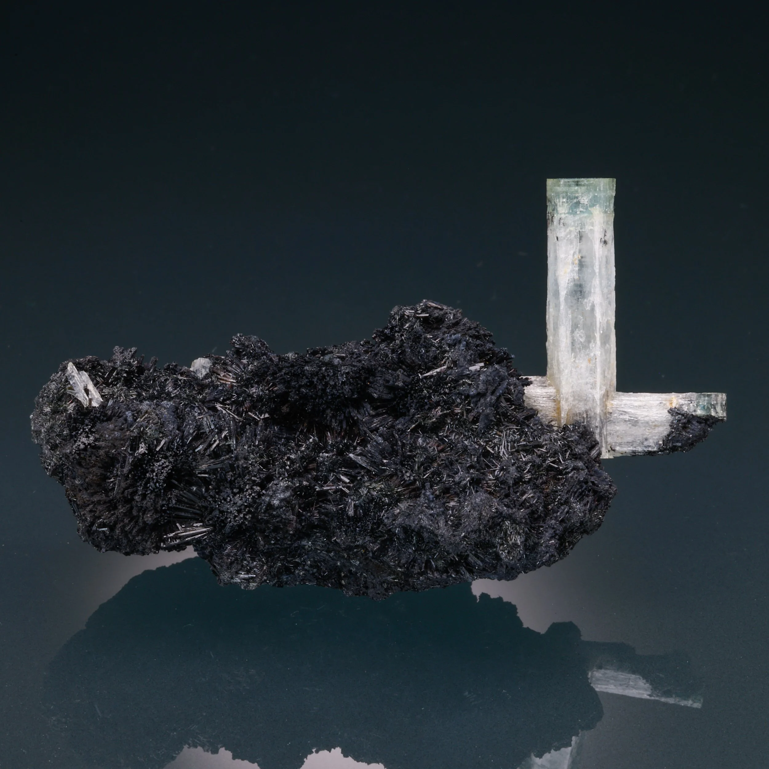 DanZellnerMineralsPhotos-3173.jpg