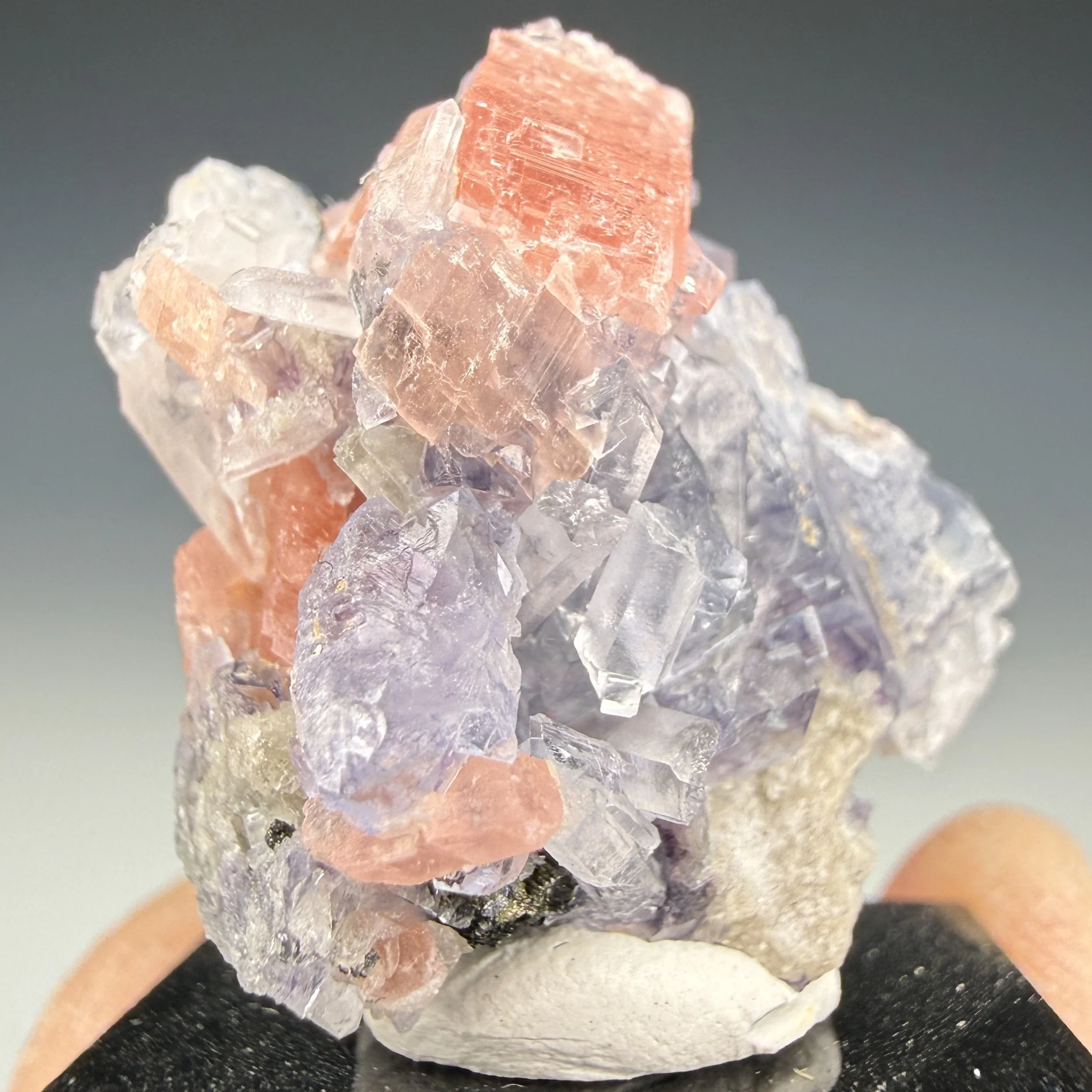 Rhodochrosite, Fluorite, Quartz, Sweet Home Mine, Alma Mining Dist., Park Co., Colorado, USA