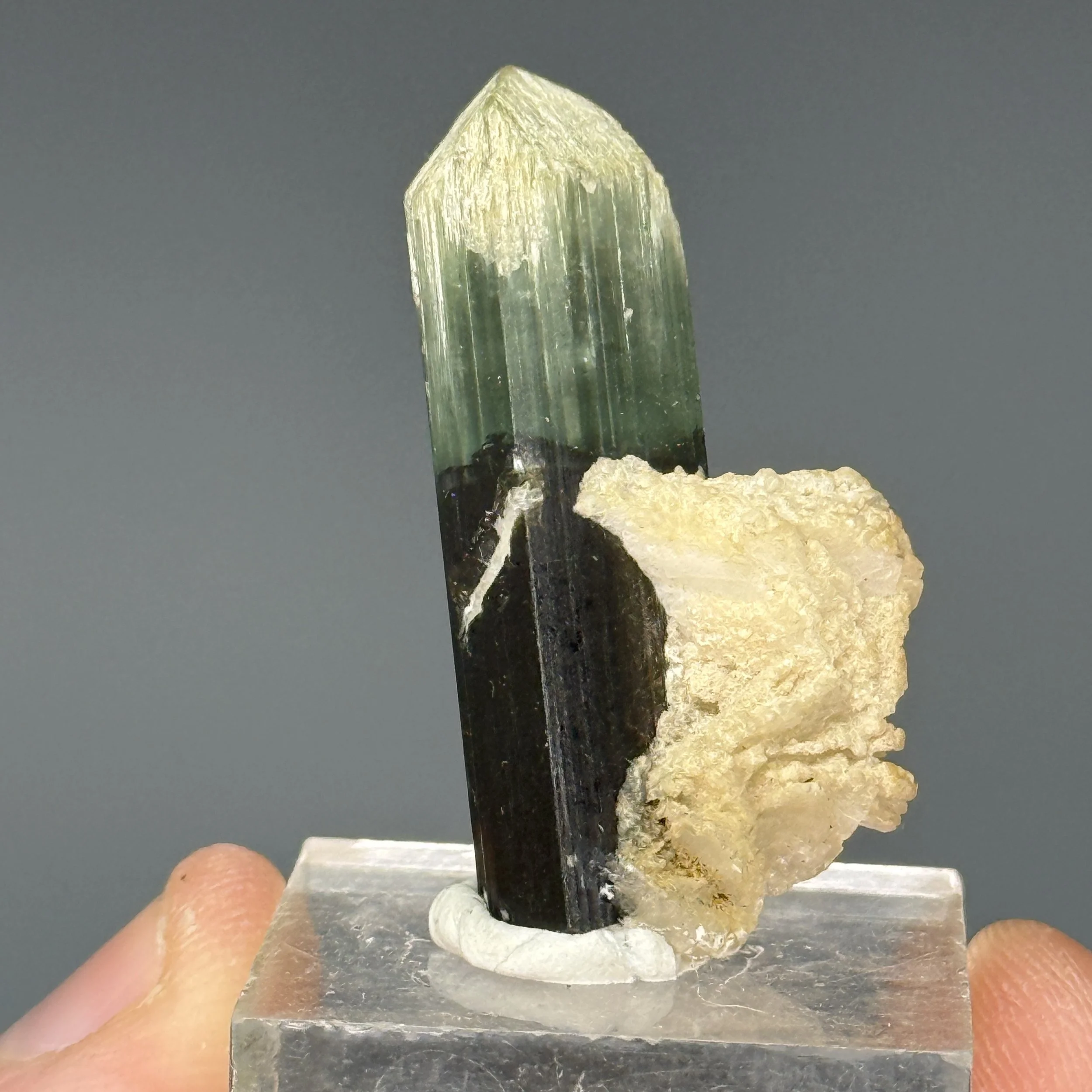 Tourmaline, Cleavelandite, Stak Nala, Haramosh Mts., Roundu District, Gilgit-Baltistan, Pakistan