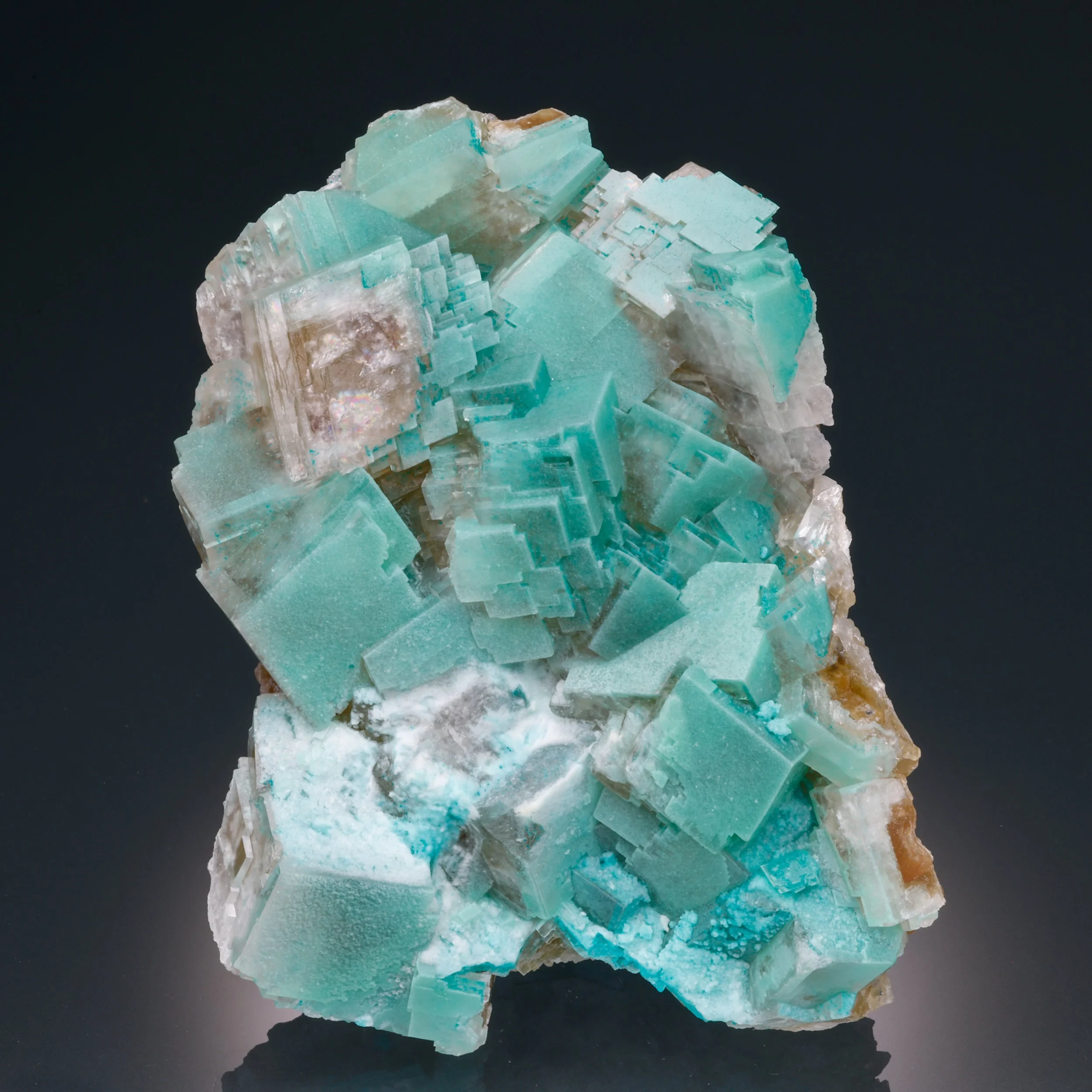 DanZellnerMineralsPhotos-2757.jpg