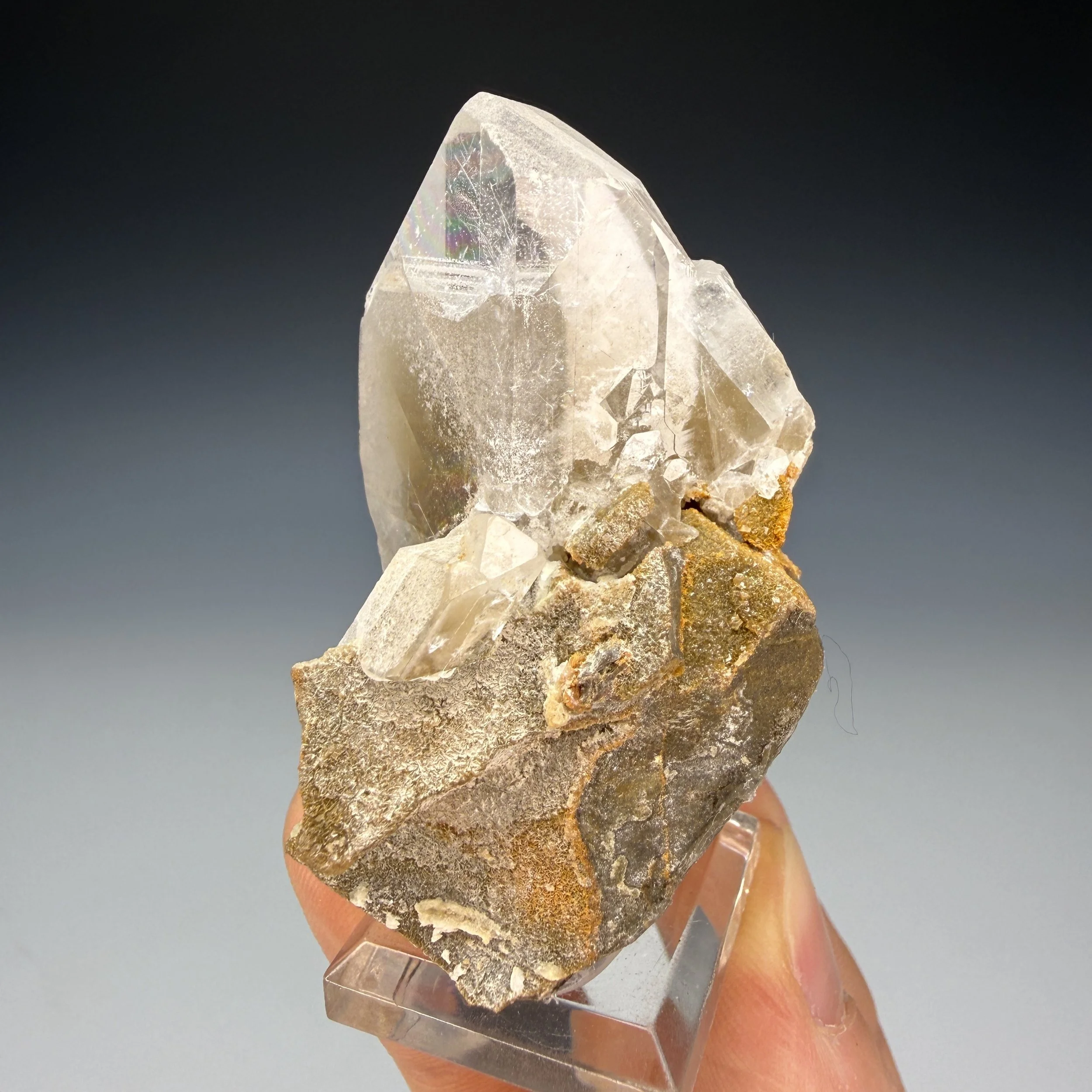 IMG_2856.JPG
