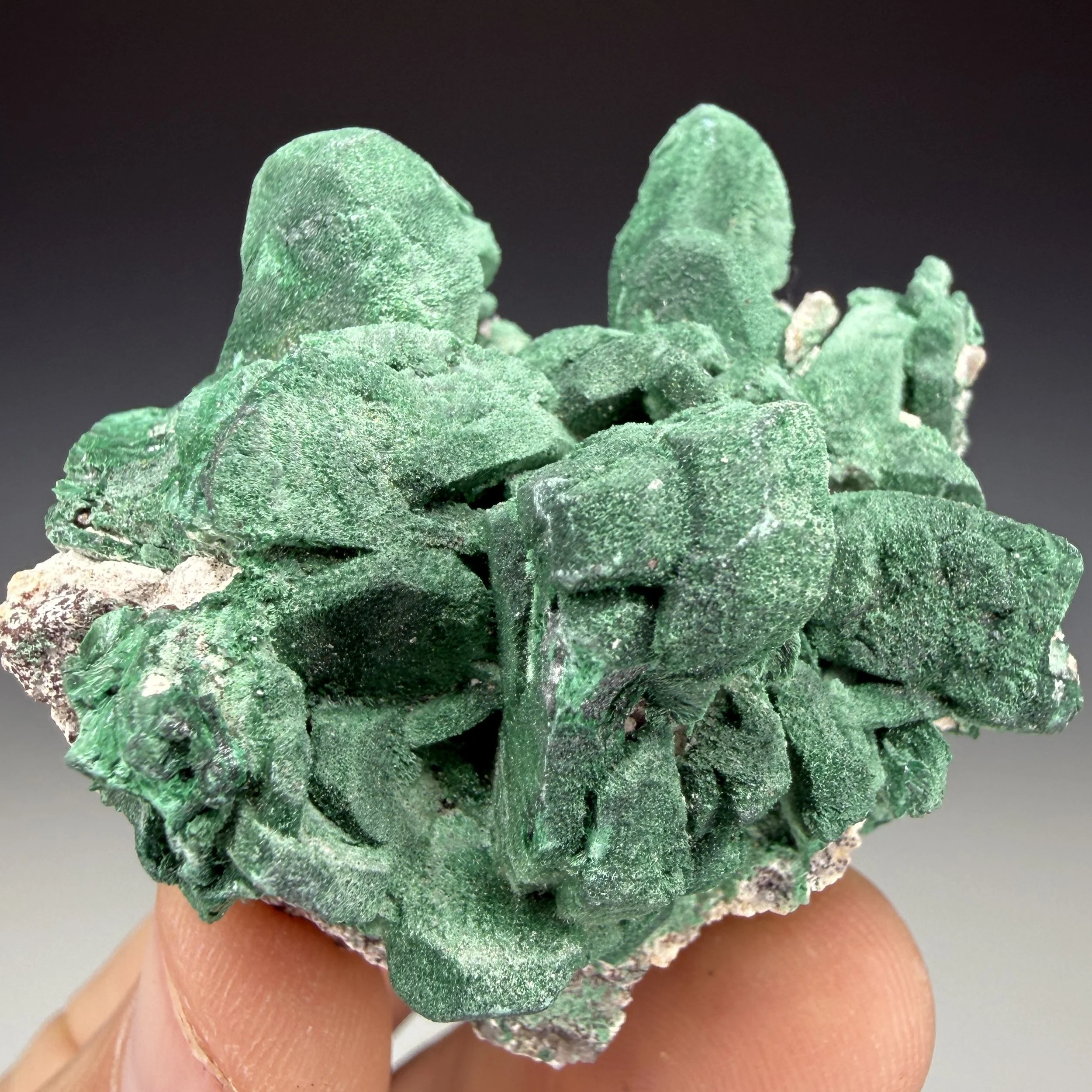 Malachite, Pseudomorph Azurite, Milpillas Mine, Cuitaca, Santa Cruz Muni., Sonora, Mexico