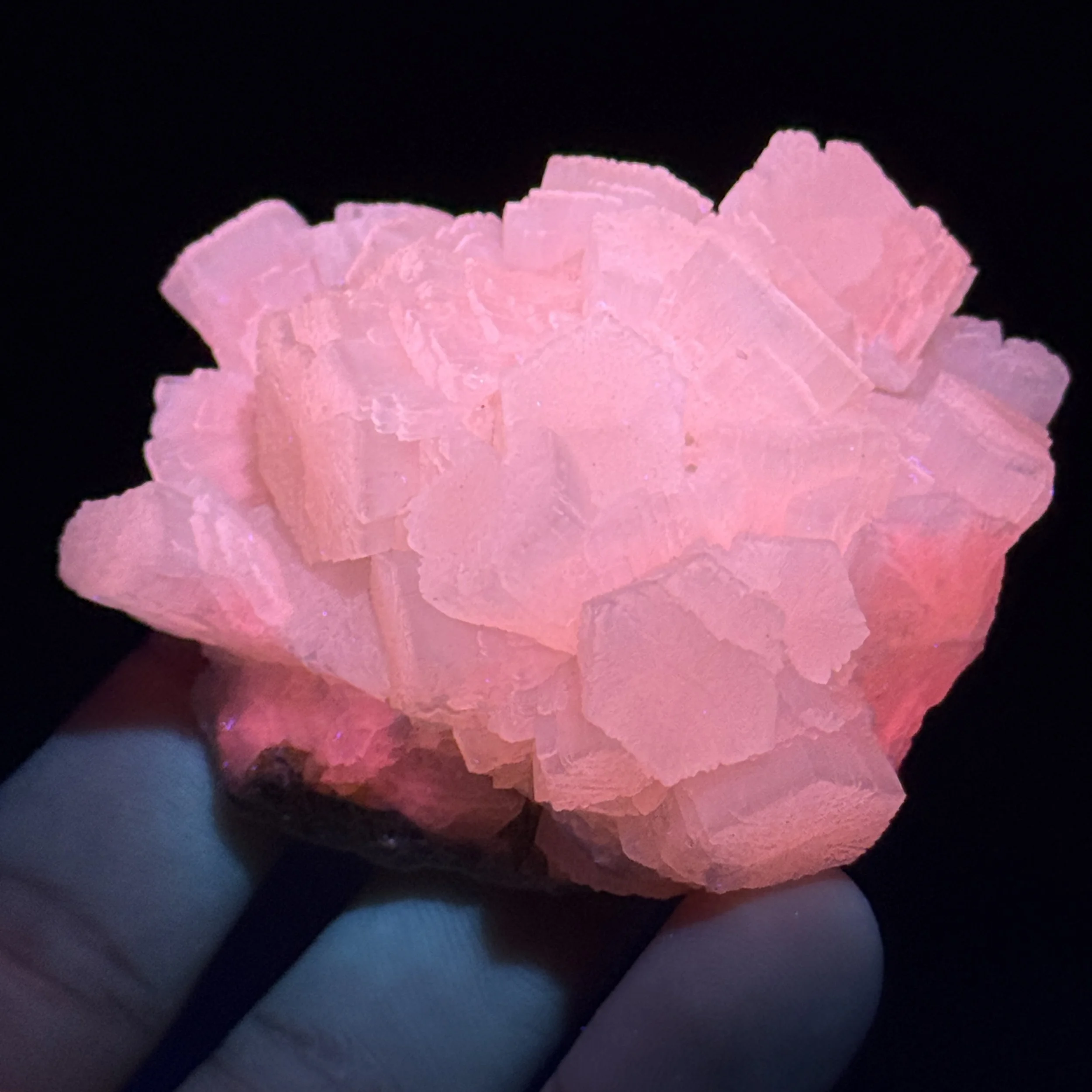 Aragonite, Agrigento, Agrigento Province, Sicilia, Italy