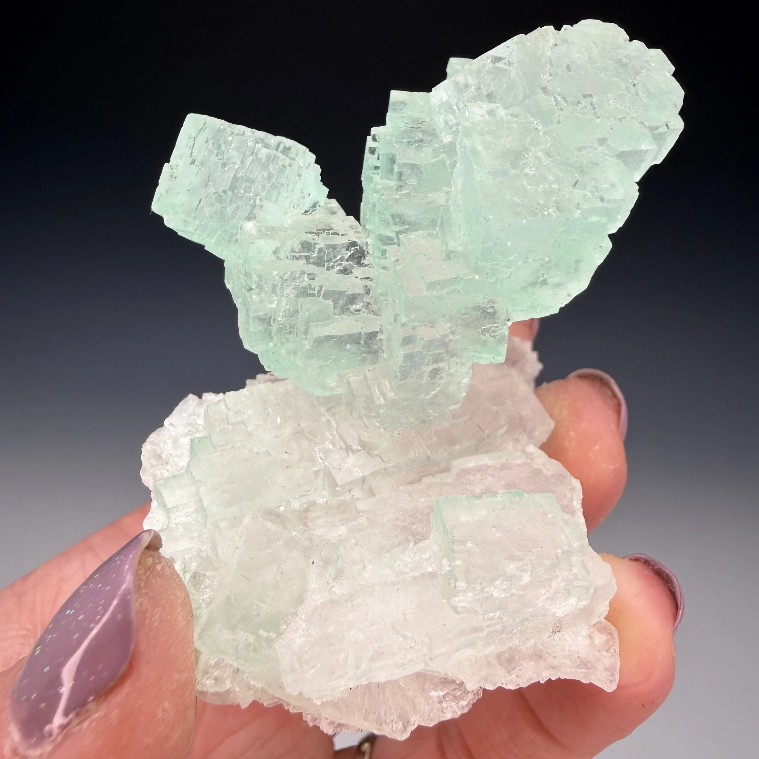 Halite, Lubin Glowny Shafts, Lubin County, Poland