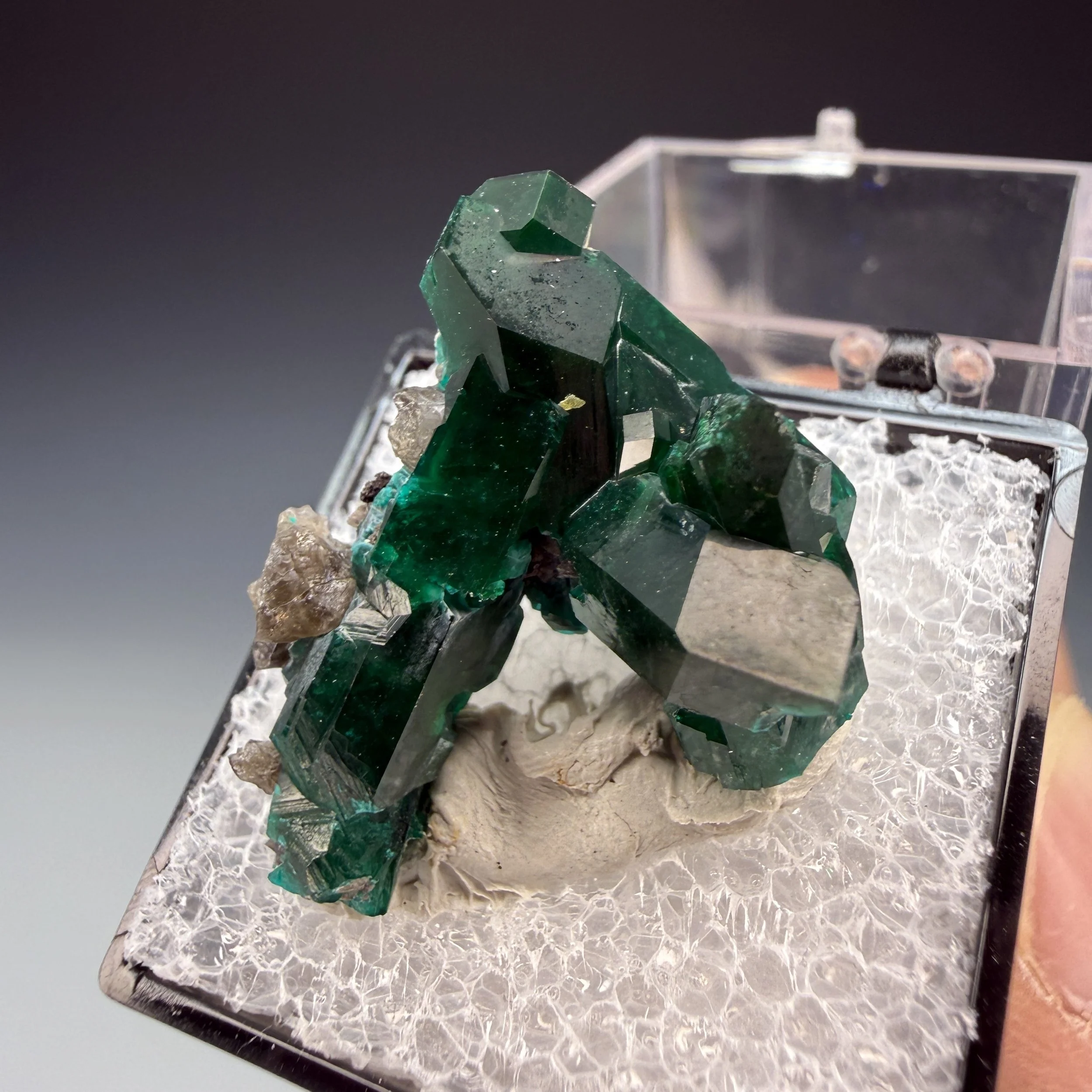 Dioptase, Kaokoveld mine, Kaokoveld Plateau, Kunene, Namibia