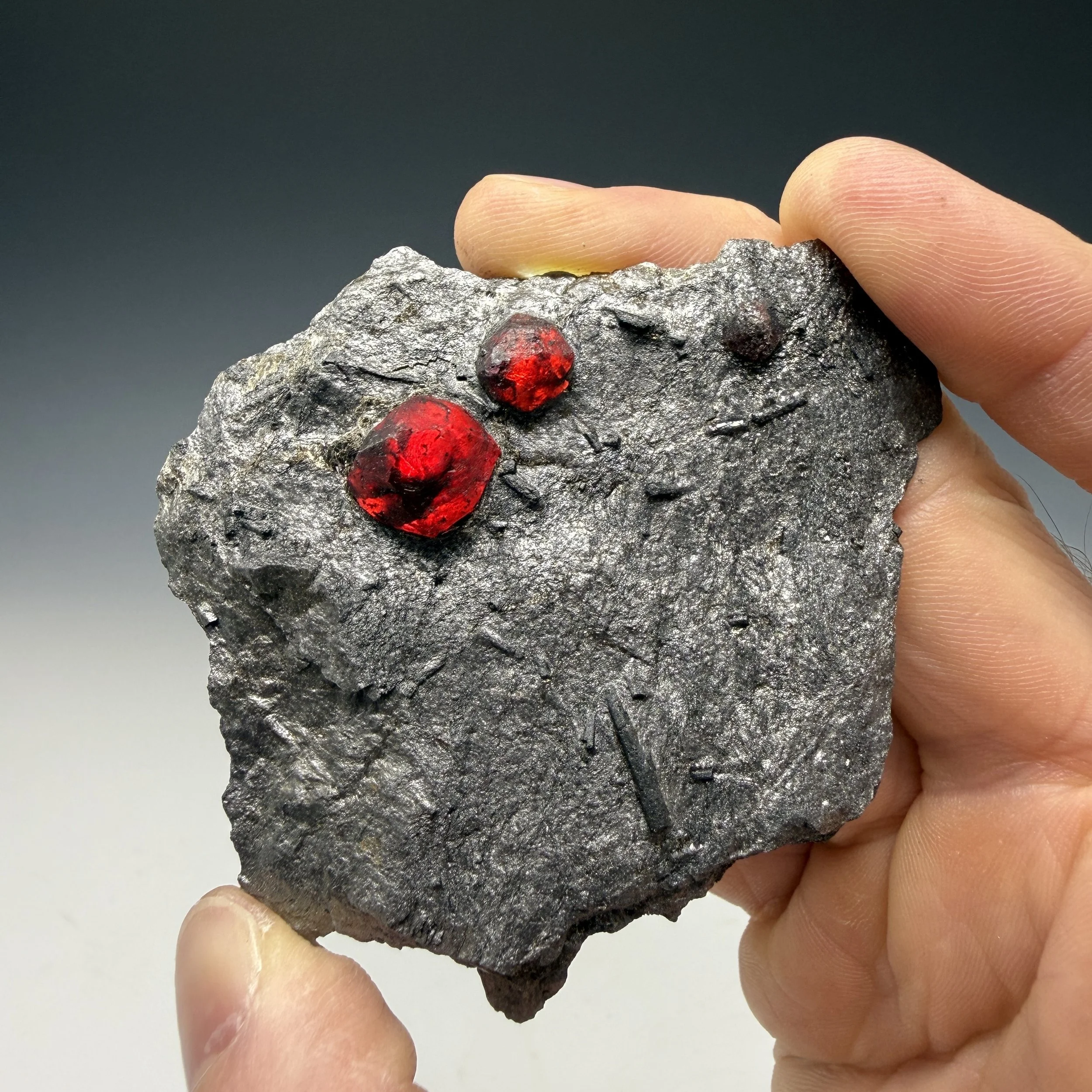 Almandine Garnet, Dravite, Graphite Schist, Red Embers Mine, Erving, Franklin County, Massachusetts, USA