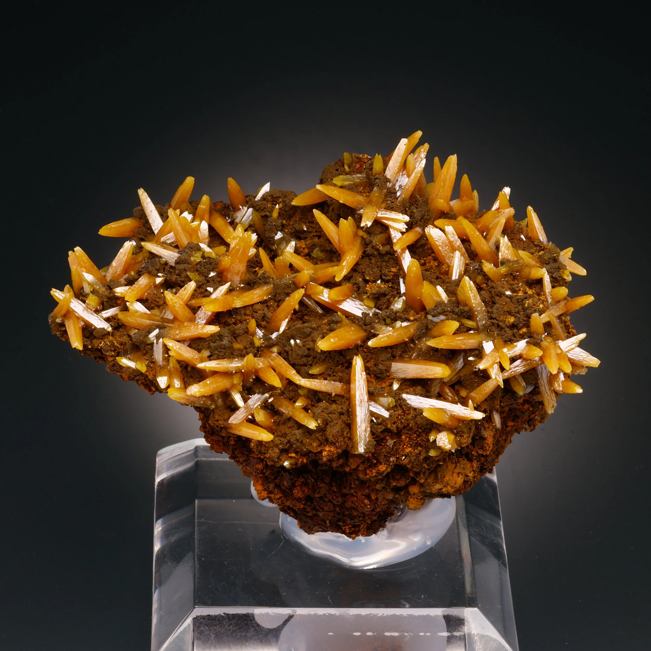 DanZellnerMineralPhotos4.26-3759.jpg