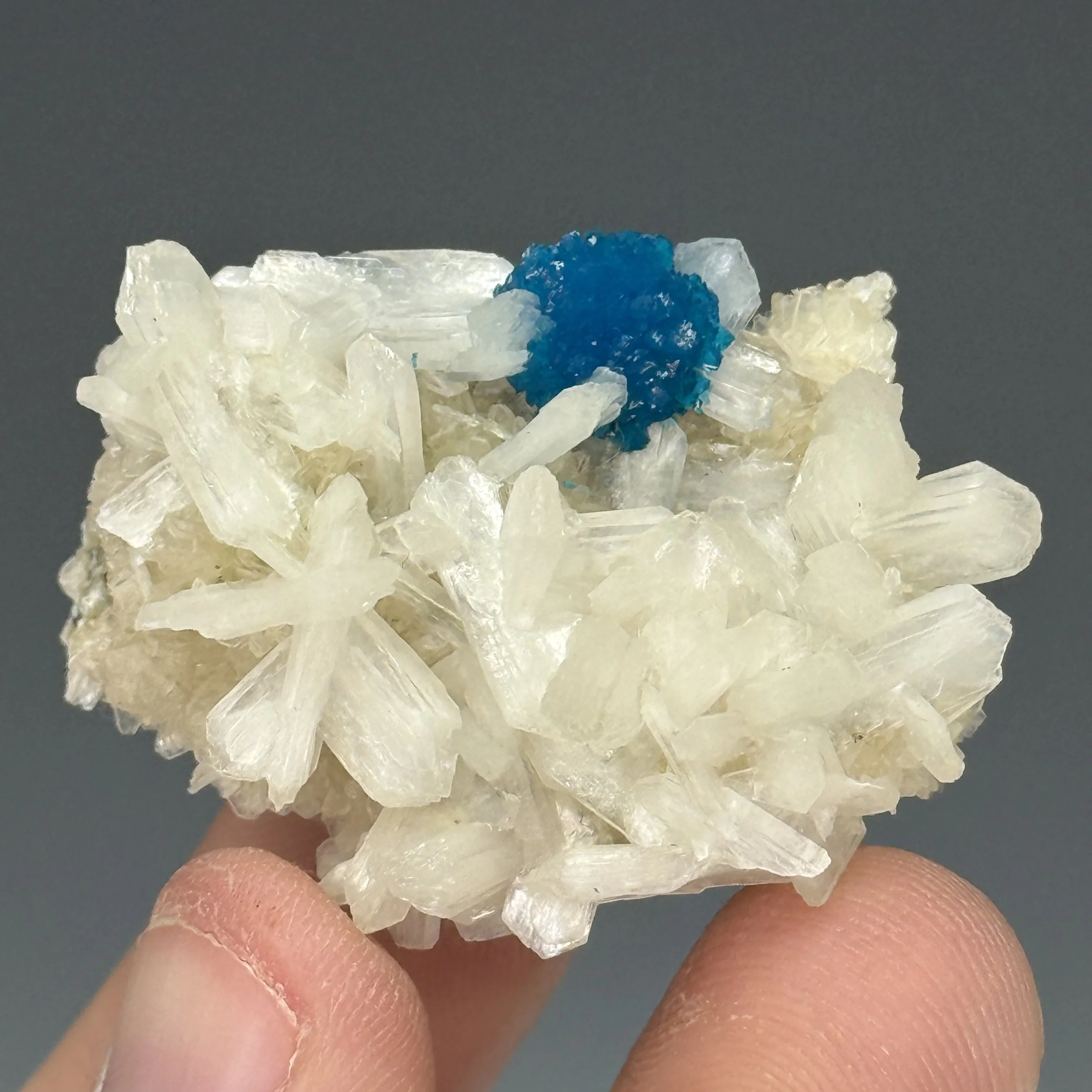 Cavansite, Stilbite, Wagholi Quarries, Wagholi, Pune Dist., Pune Div., Maharashtra, India