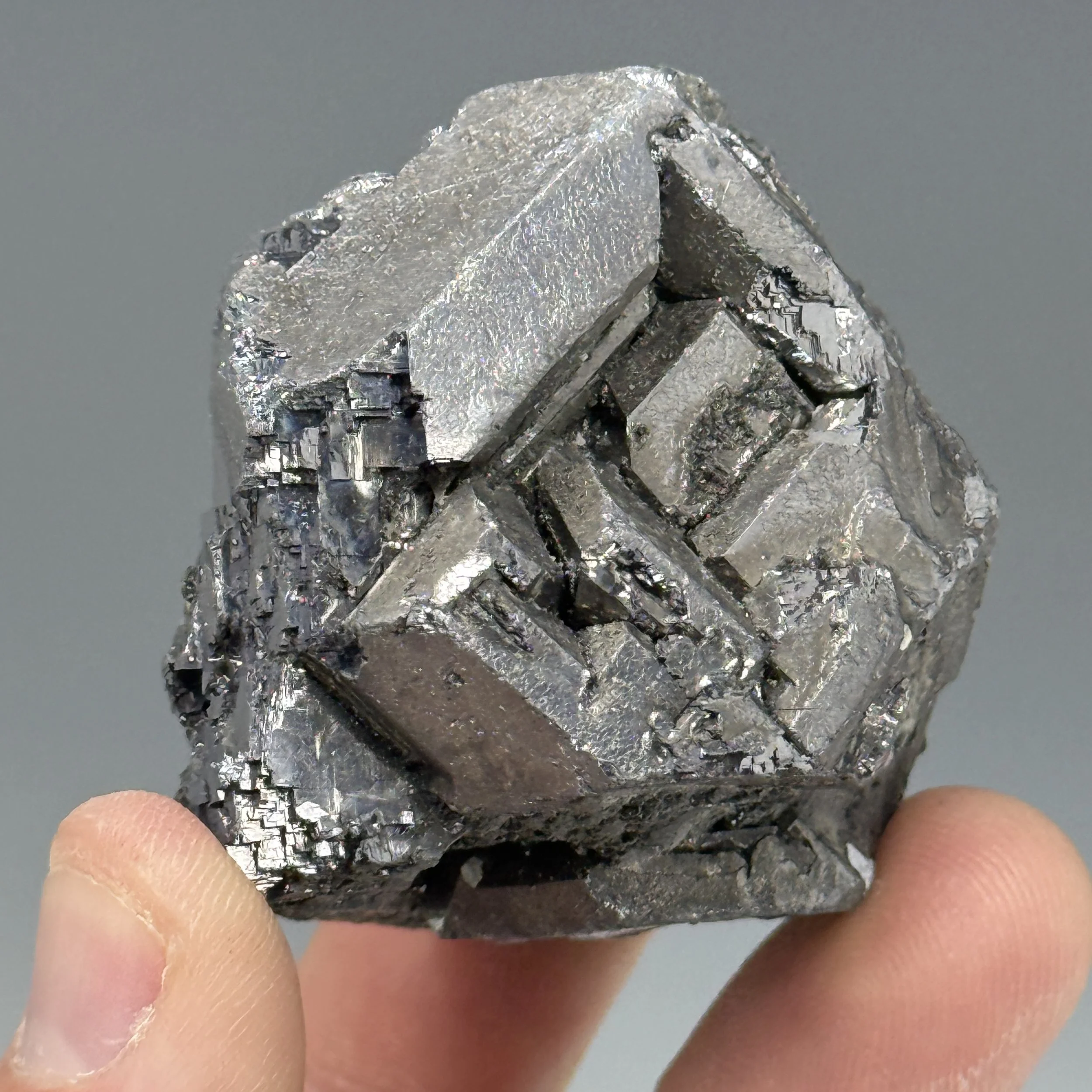 Galena, Nikolaevskiy Mine, Dalnegorsk, Primorsky Krai, Russia