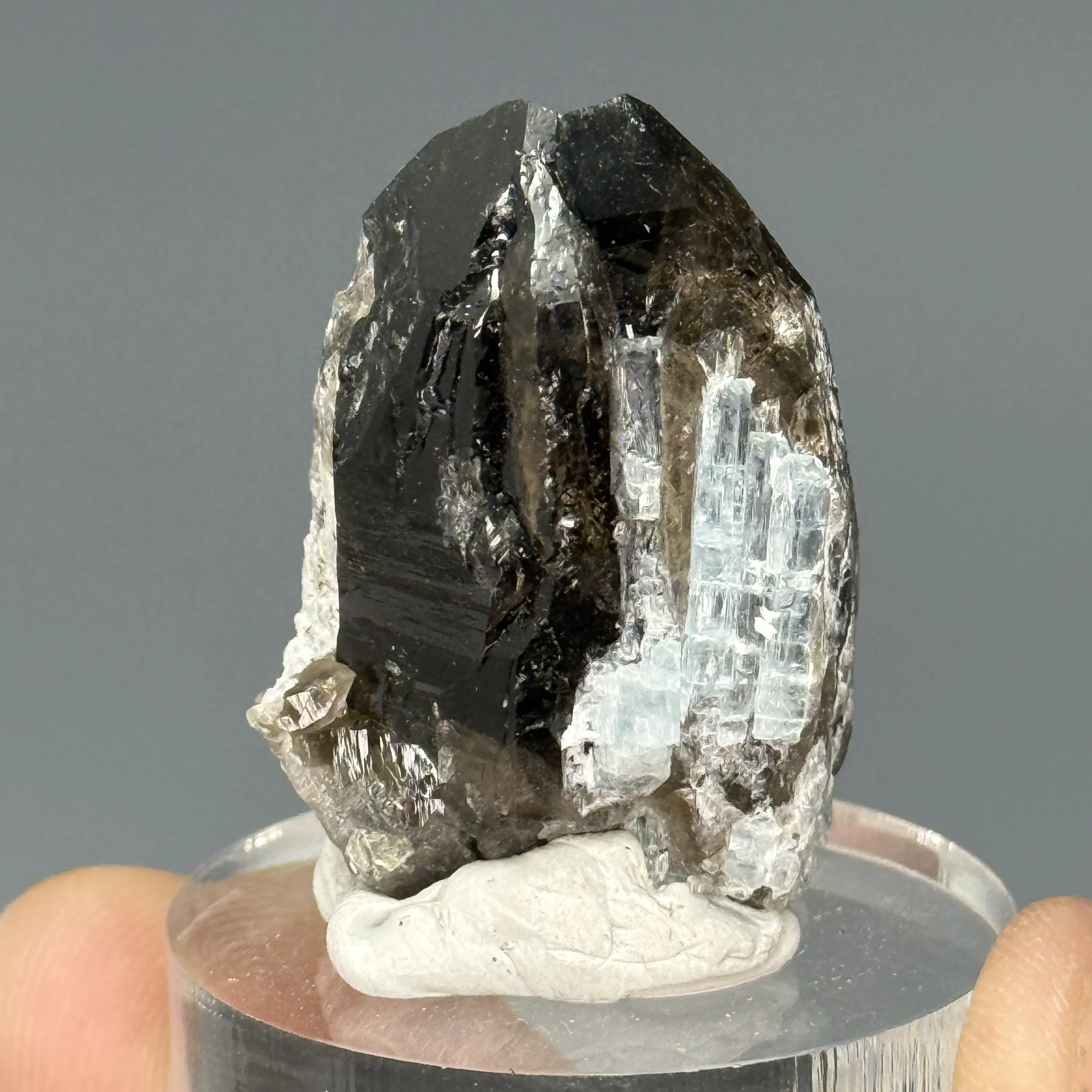Aquamarine, Smoky Quartz, Mt. Antero, Chaffee County, Colorado, USA