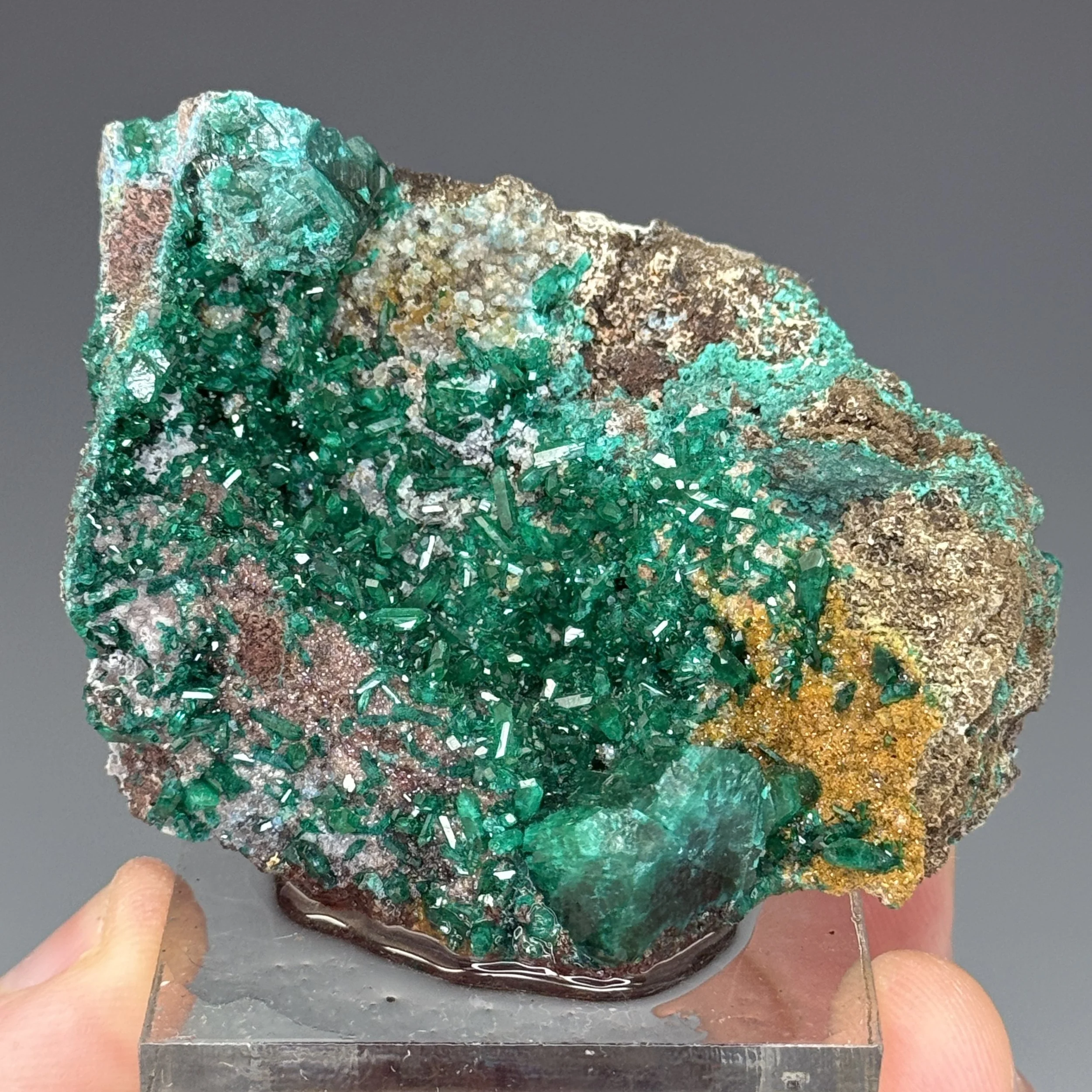 Dioptase, Mfouati, Bouenza Dept., Rep. of Congo