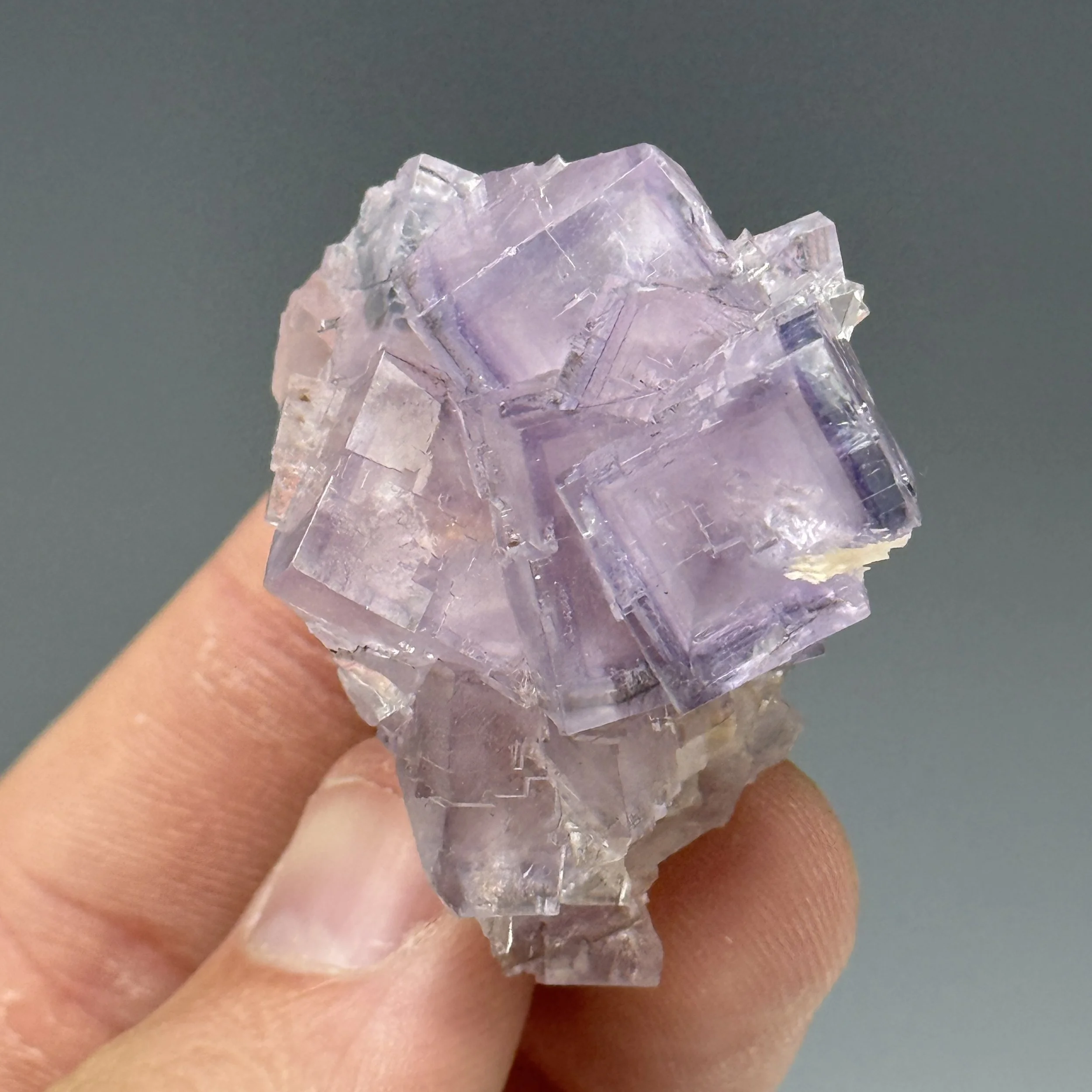 Fluorite, Baryte, Berbes, Ribadesella, Asturias, Spain