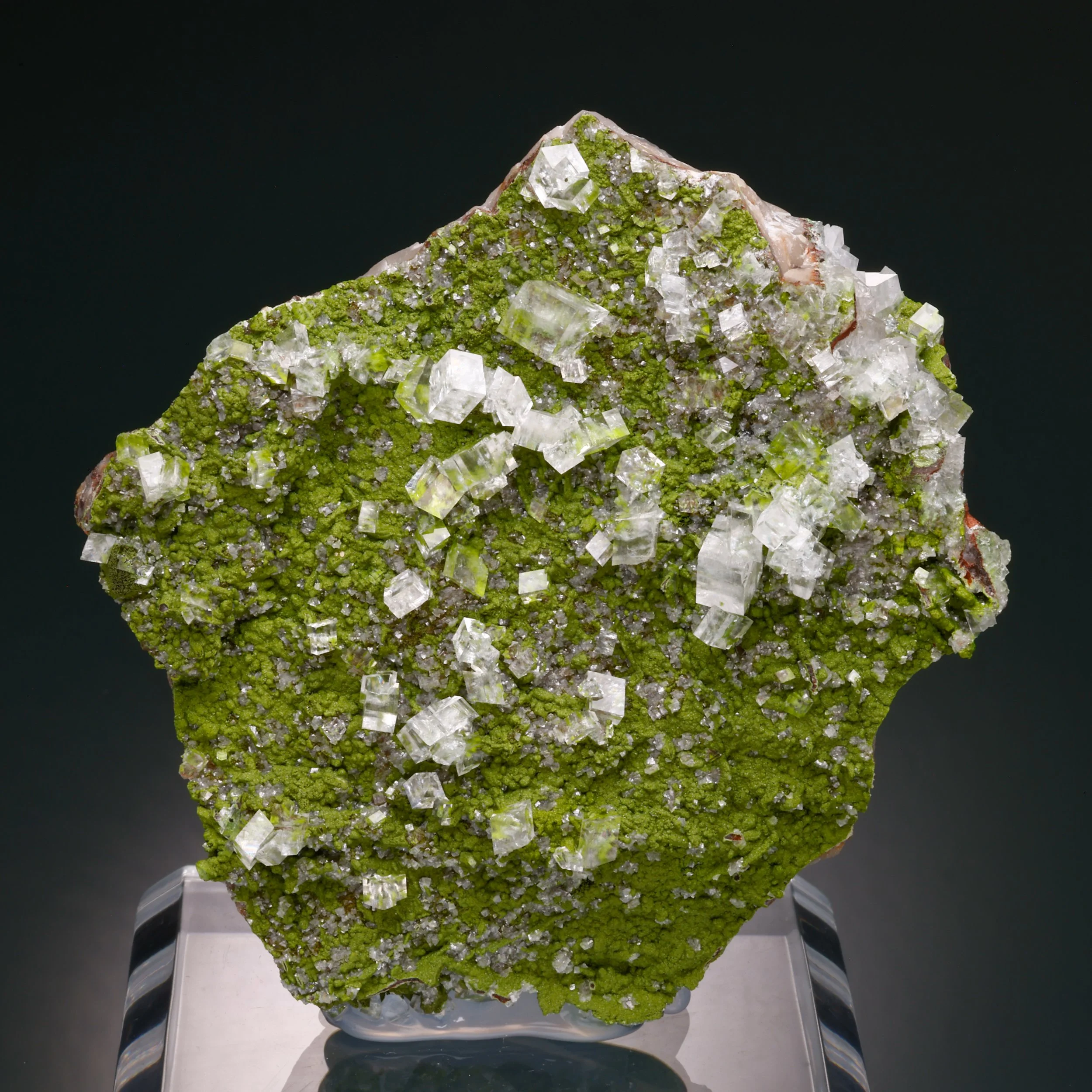 DanZellnerMineralPhotos6.18-4090.jpg