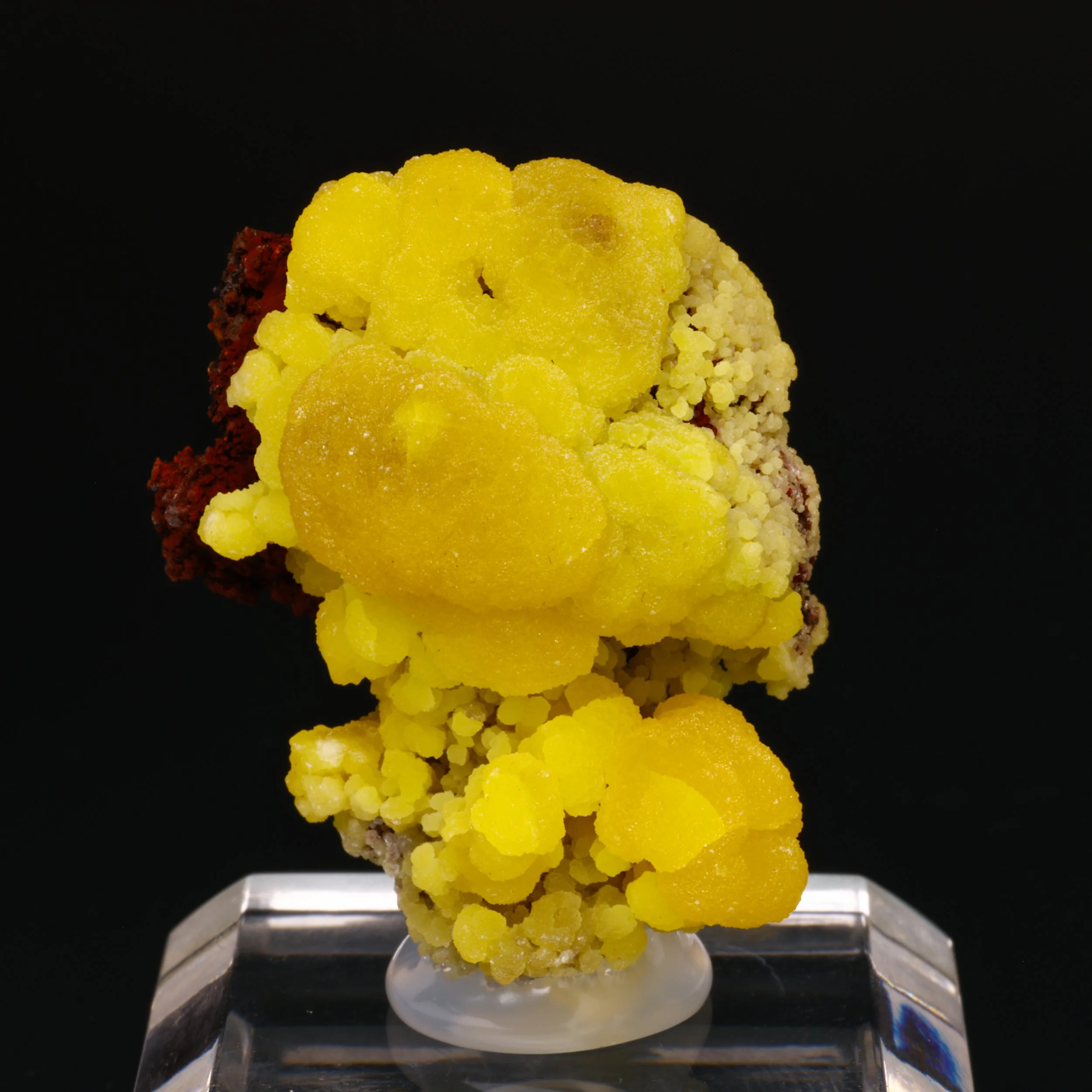 Mimetite, Congreso-Leon Mine, San Pedro Corralitos, Chihuahua, Mexico