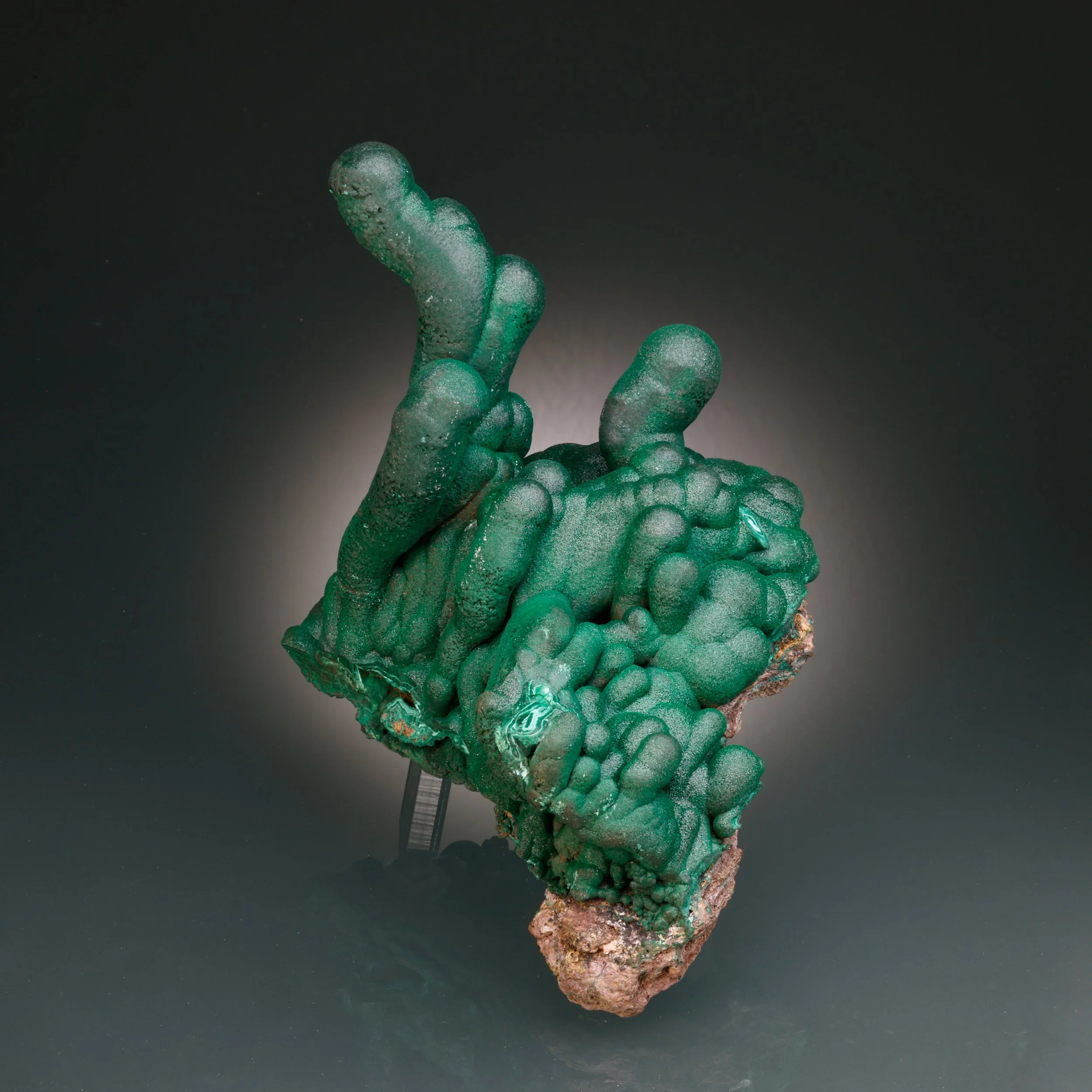 Malachite, Star of the Congo Mine, Lubumbashi, Southern area, Shaba Copper belt, Shaba, Congo