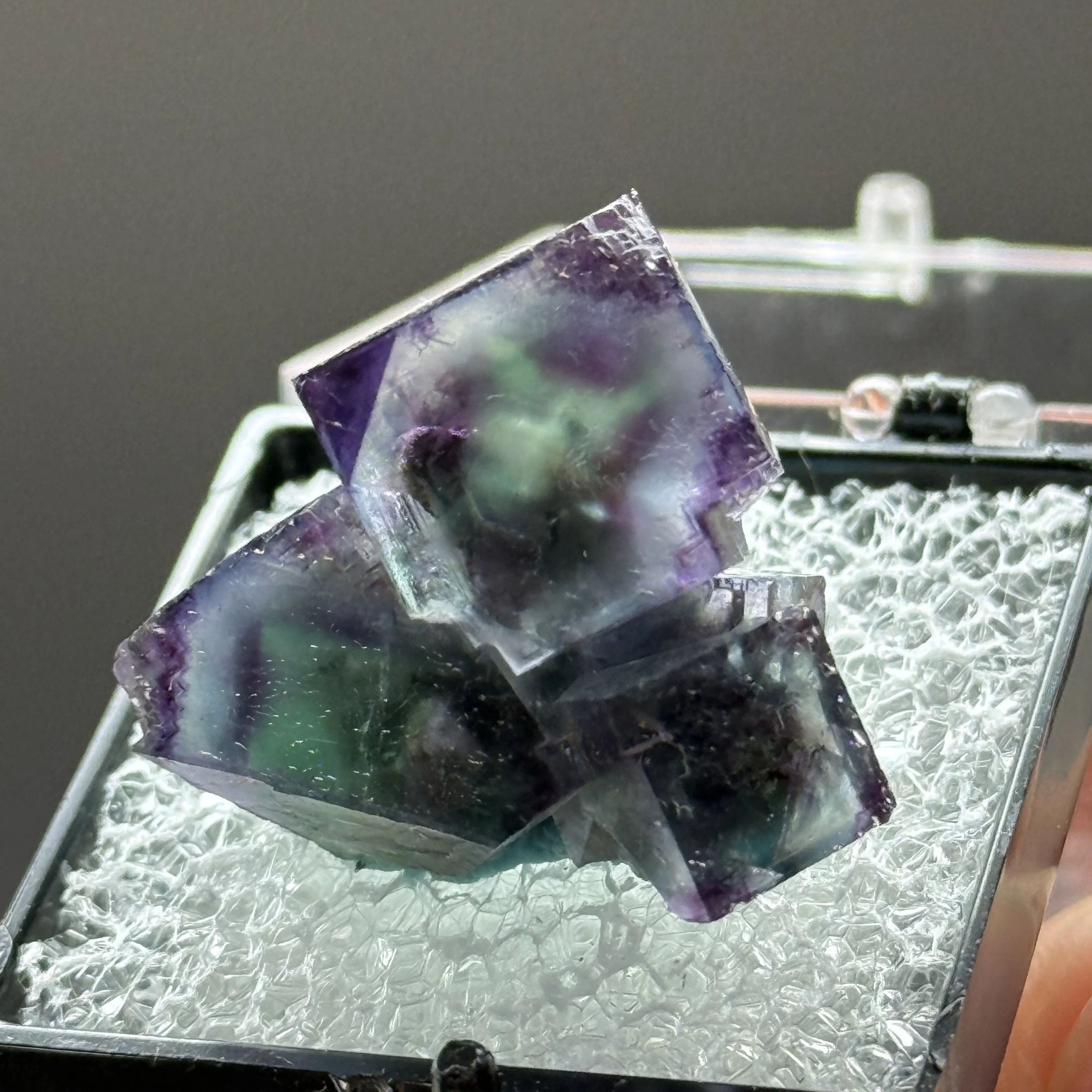 Fluorite, Okorusu Mine, Otjiwarongo, Namibia