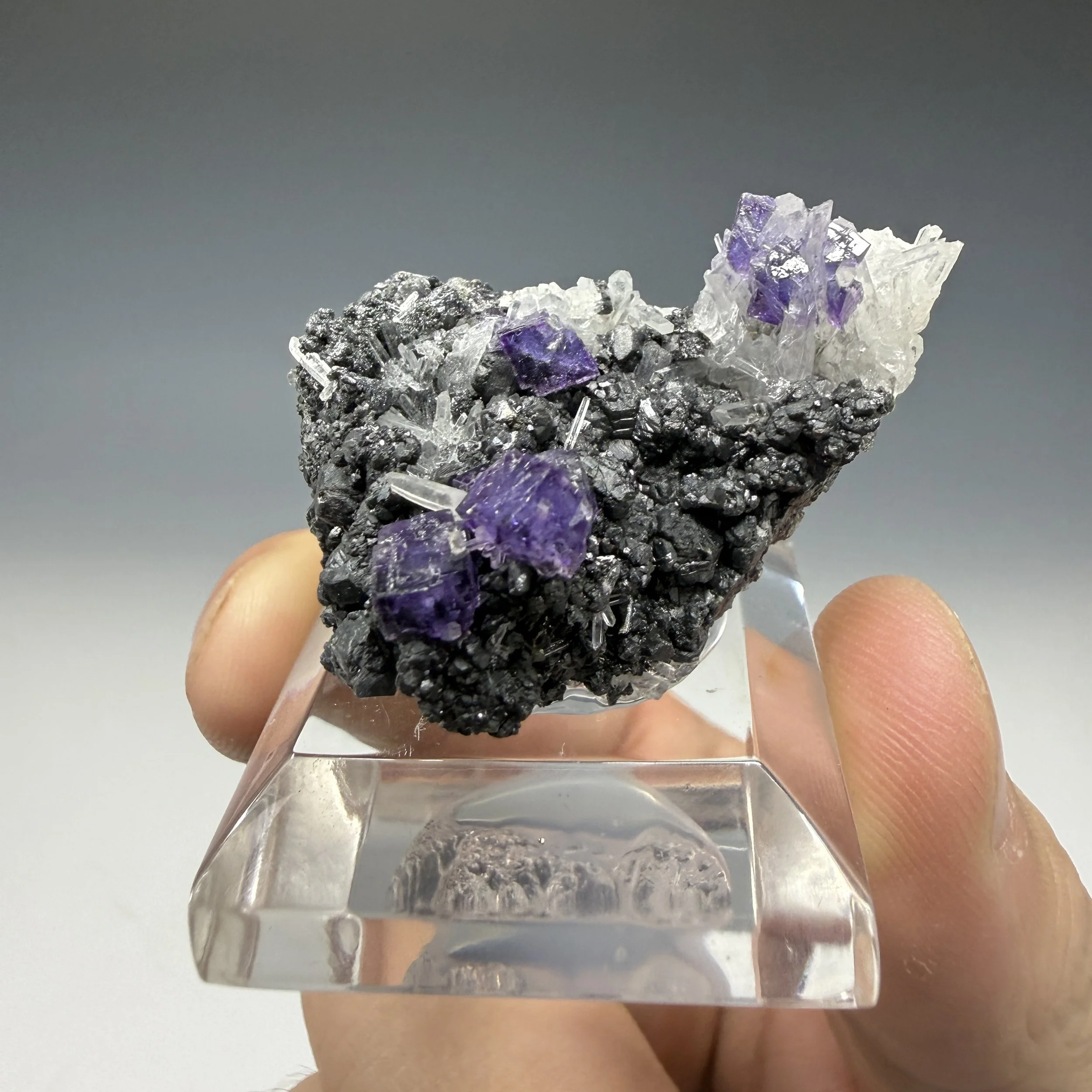 Fluorite, Tetrahedrite, Quartz, Sweet Home Mine, Alma Mining Dist., Park Co., Colorado, USA