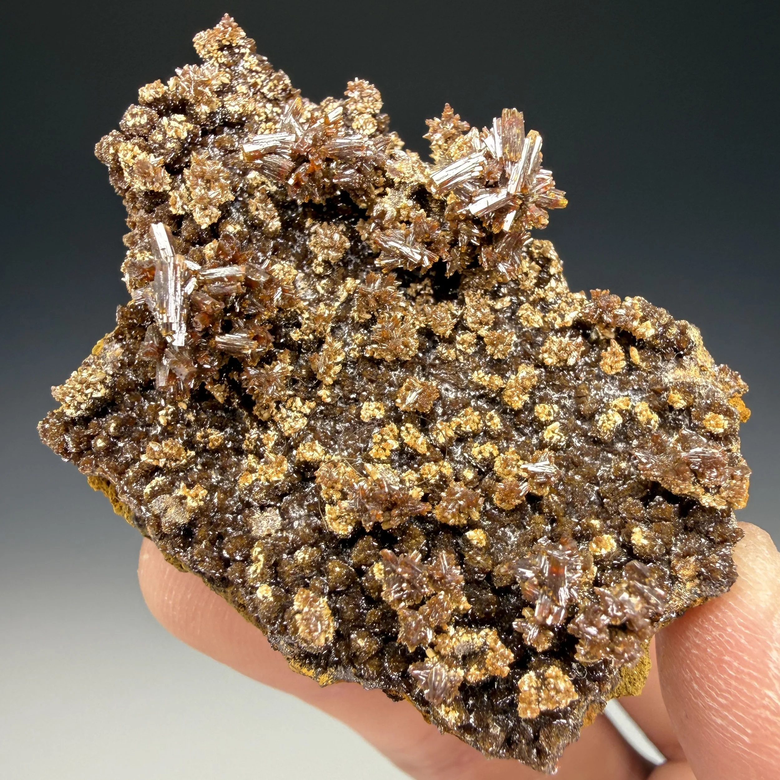 Endlichite, Mexico