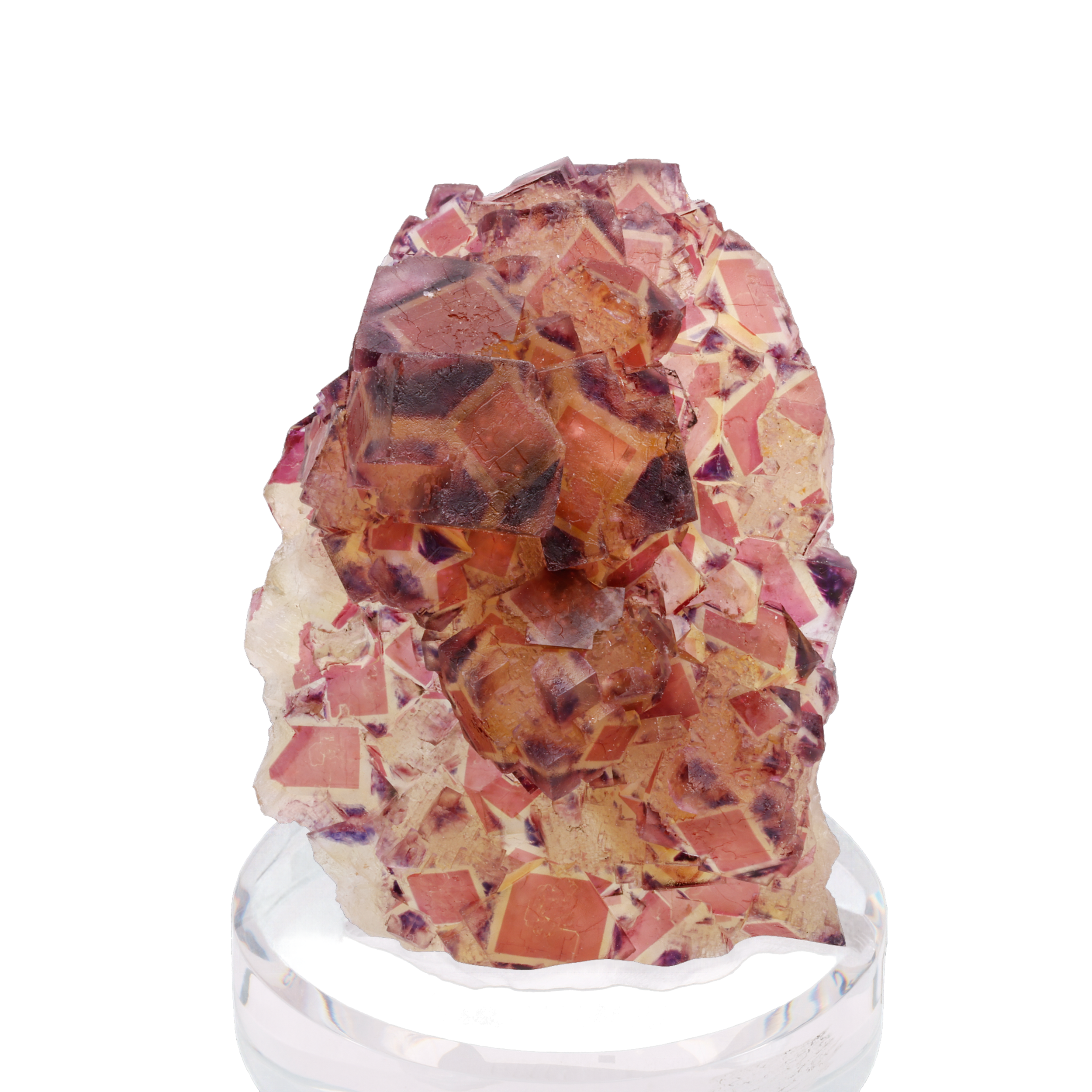 Untitled design (4).png