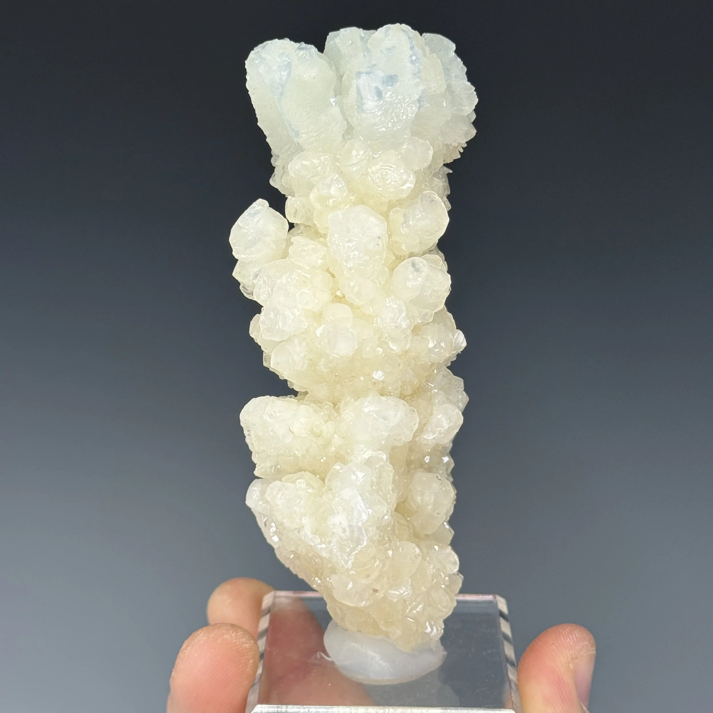 Calcite, Celestite, Mojina Mine, Buenaventura Mun., Chihuahua, Mexico