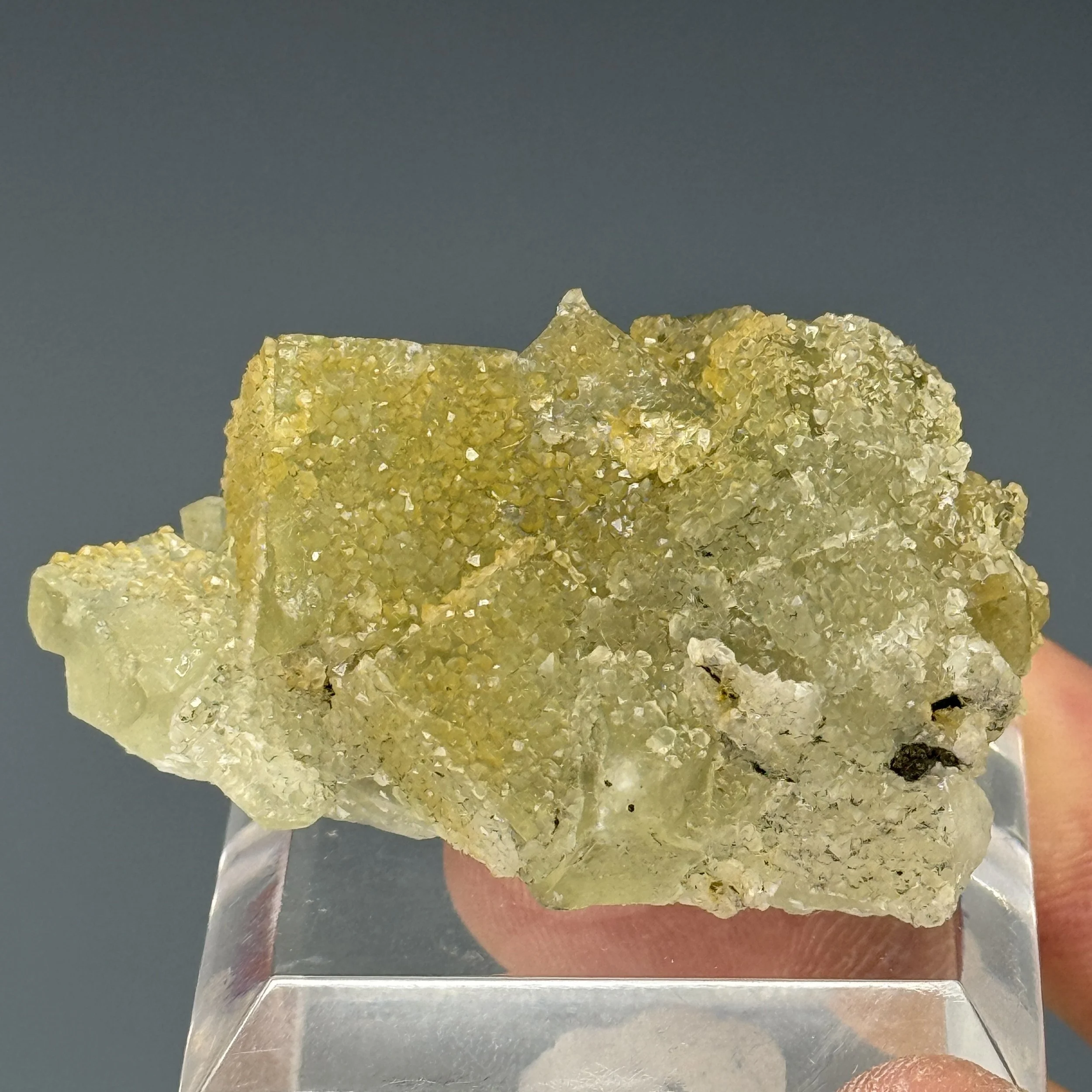 Fluorite, Bergmannisch Gluck Mine, Frohnau,Erzgebirgskreis, Saxony, Germany