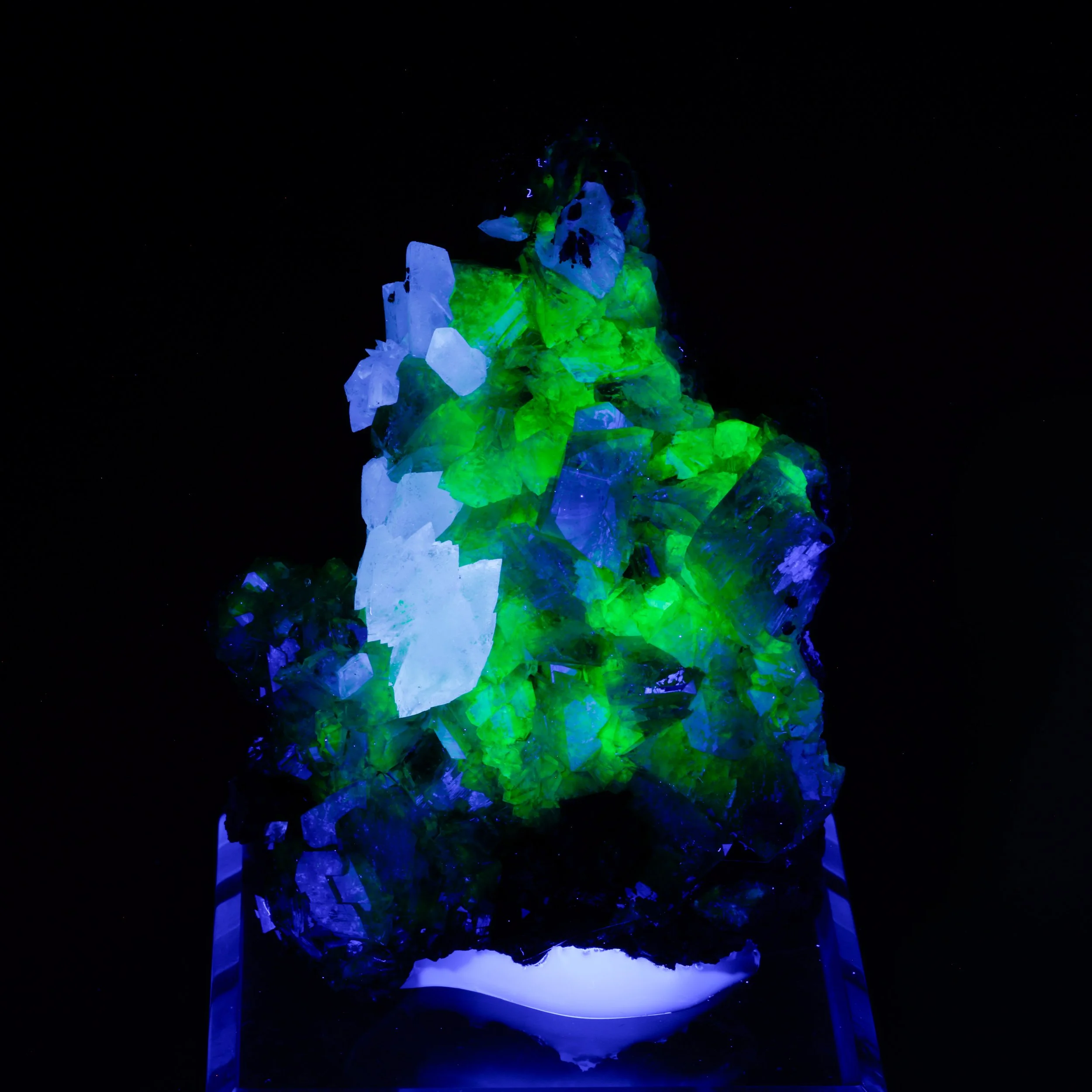 DanZellnerMineralPhotos4.26-3690.jpg