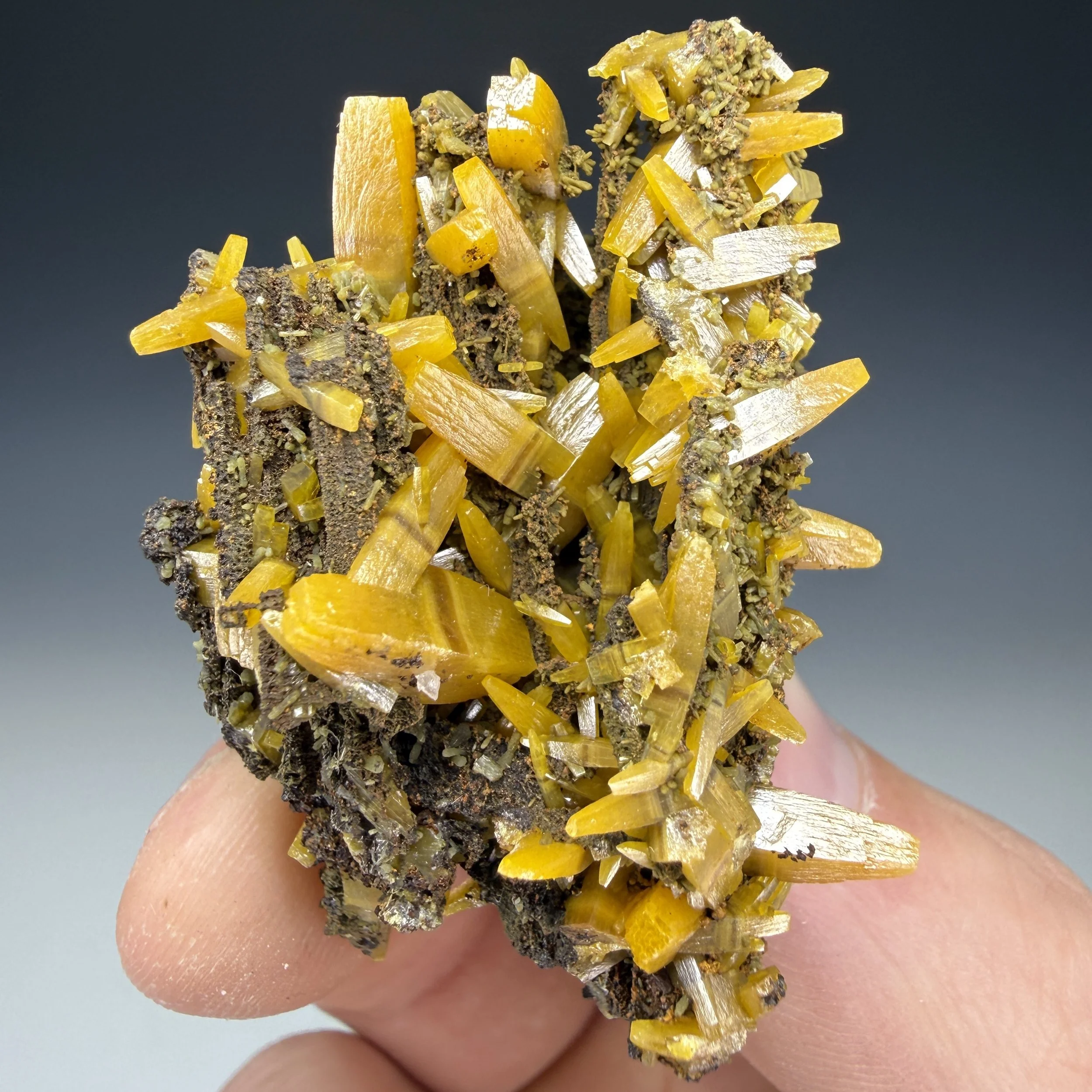 Wulfenite, Ojuela Mine, Mapimi, Durango, Mexico
