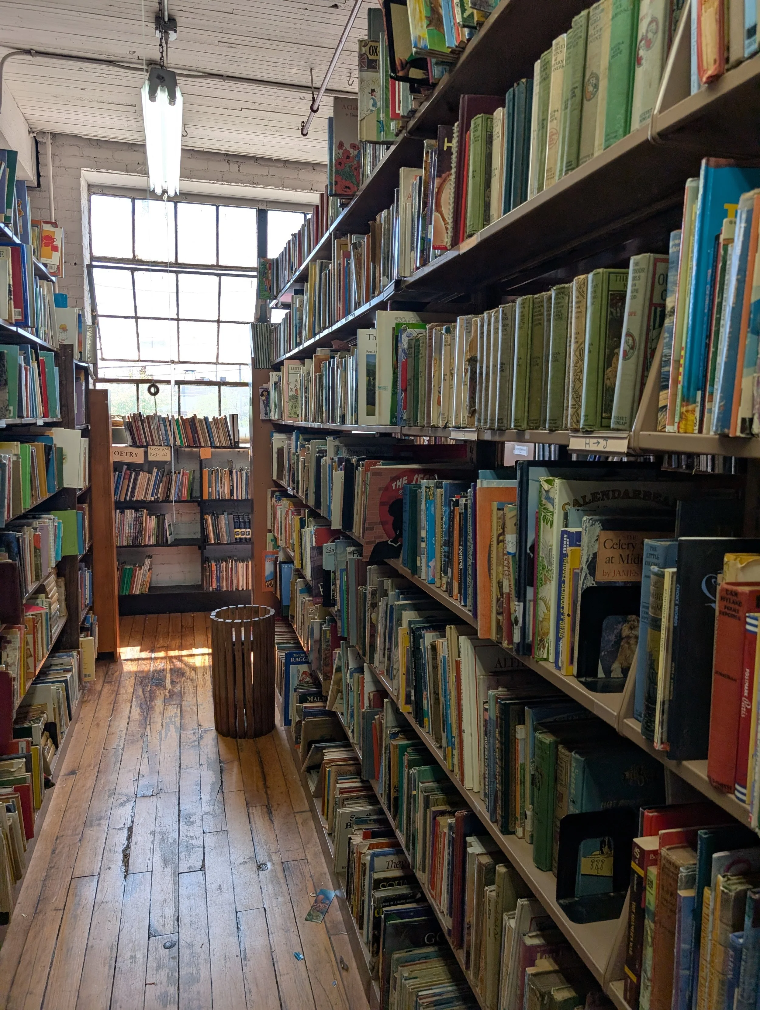 What I Bought at Another Perfect Bookstore: John K. King in Detroit, MI