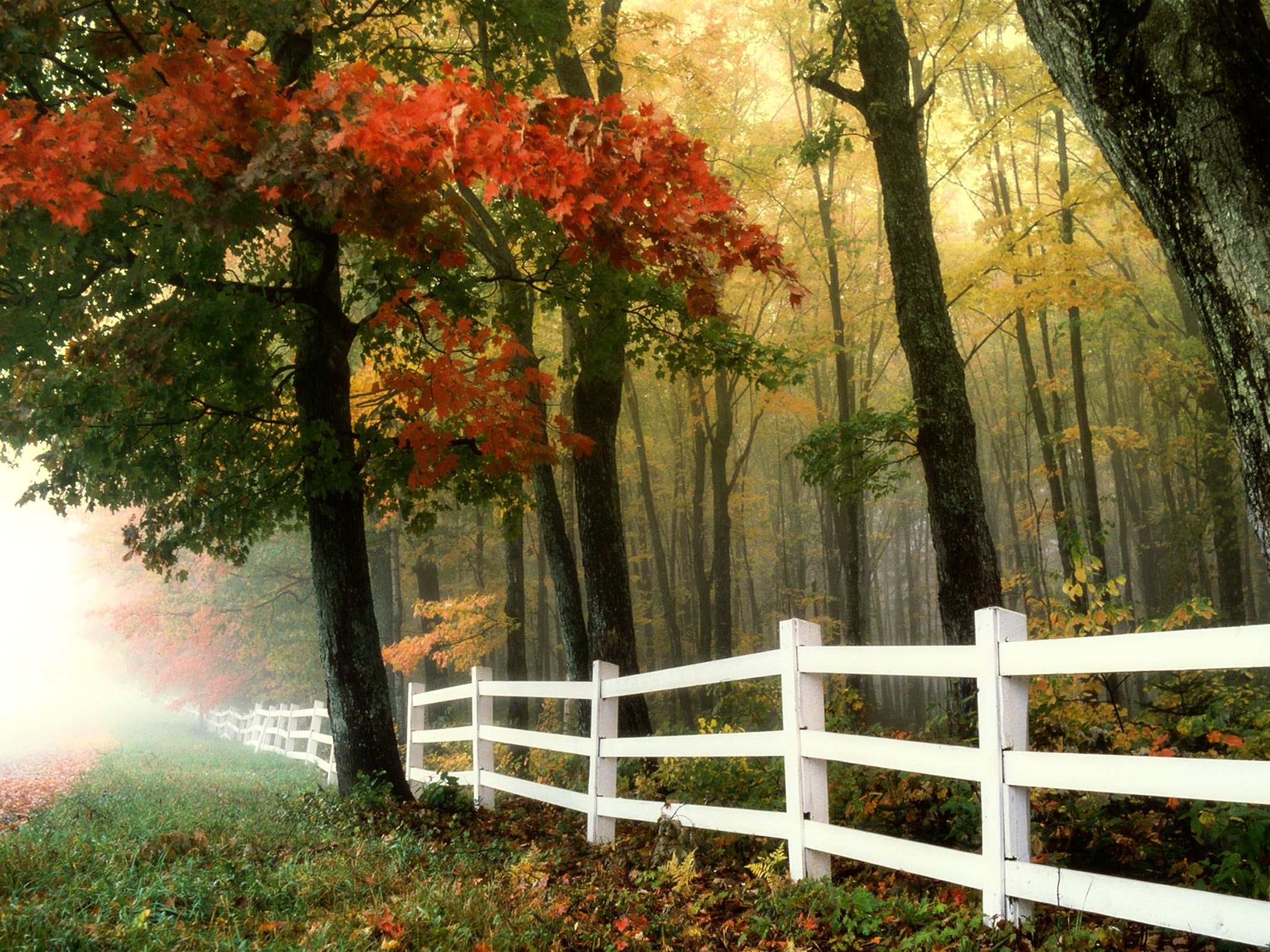 On the fence about ERP?