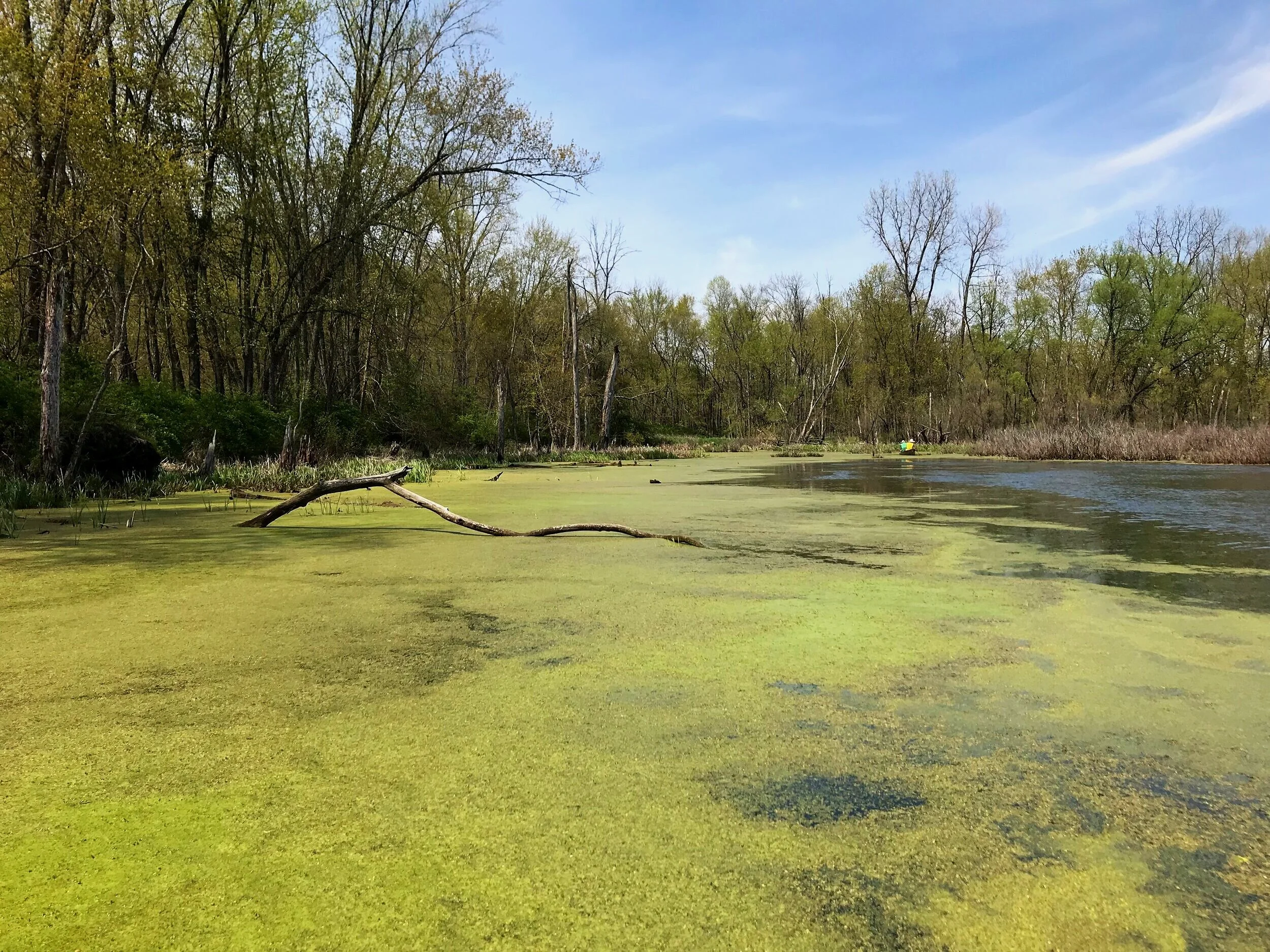 Visit Our Preserves — Killbuck Watershed Land Trust