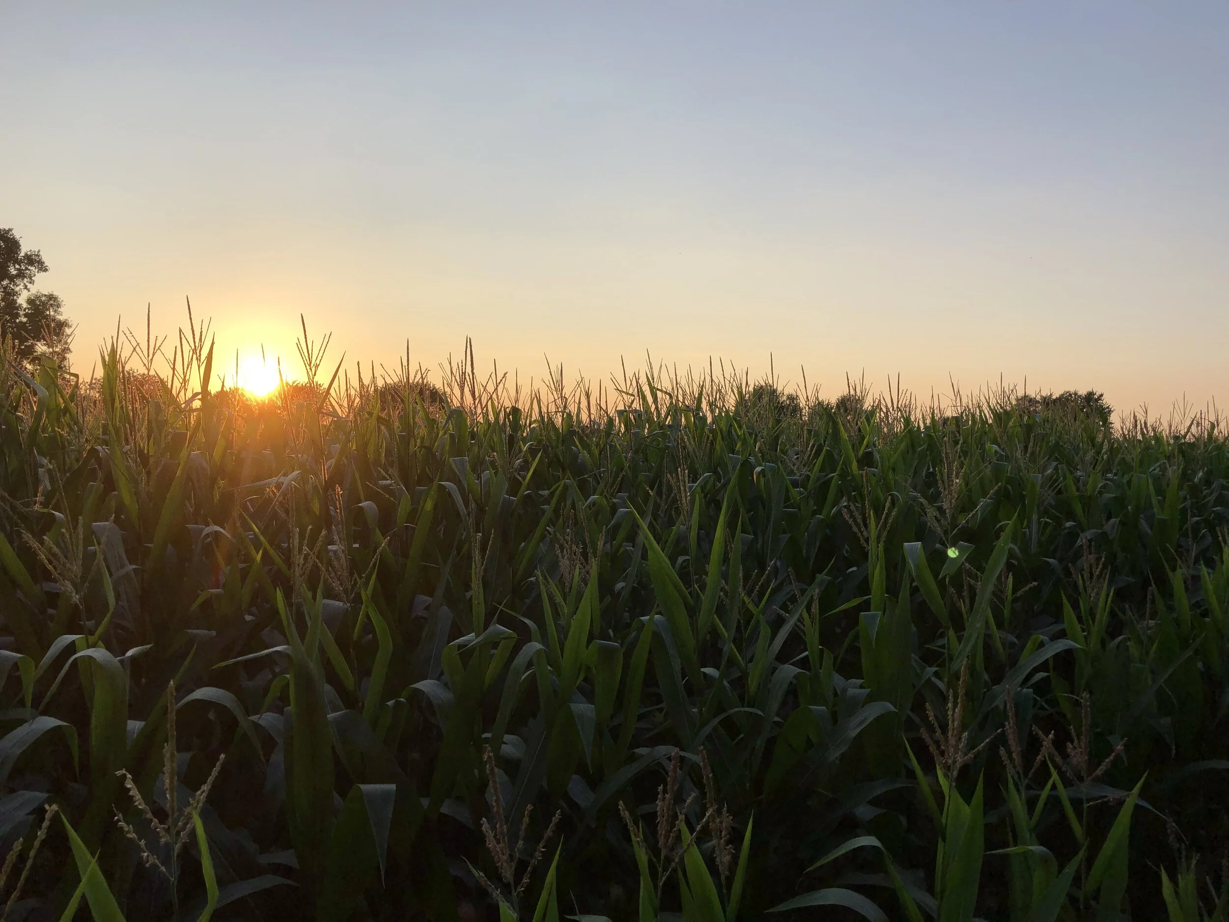 Killbuck Watershed Land Trust