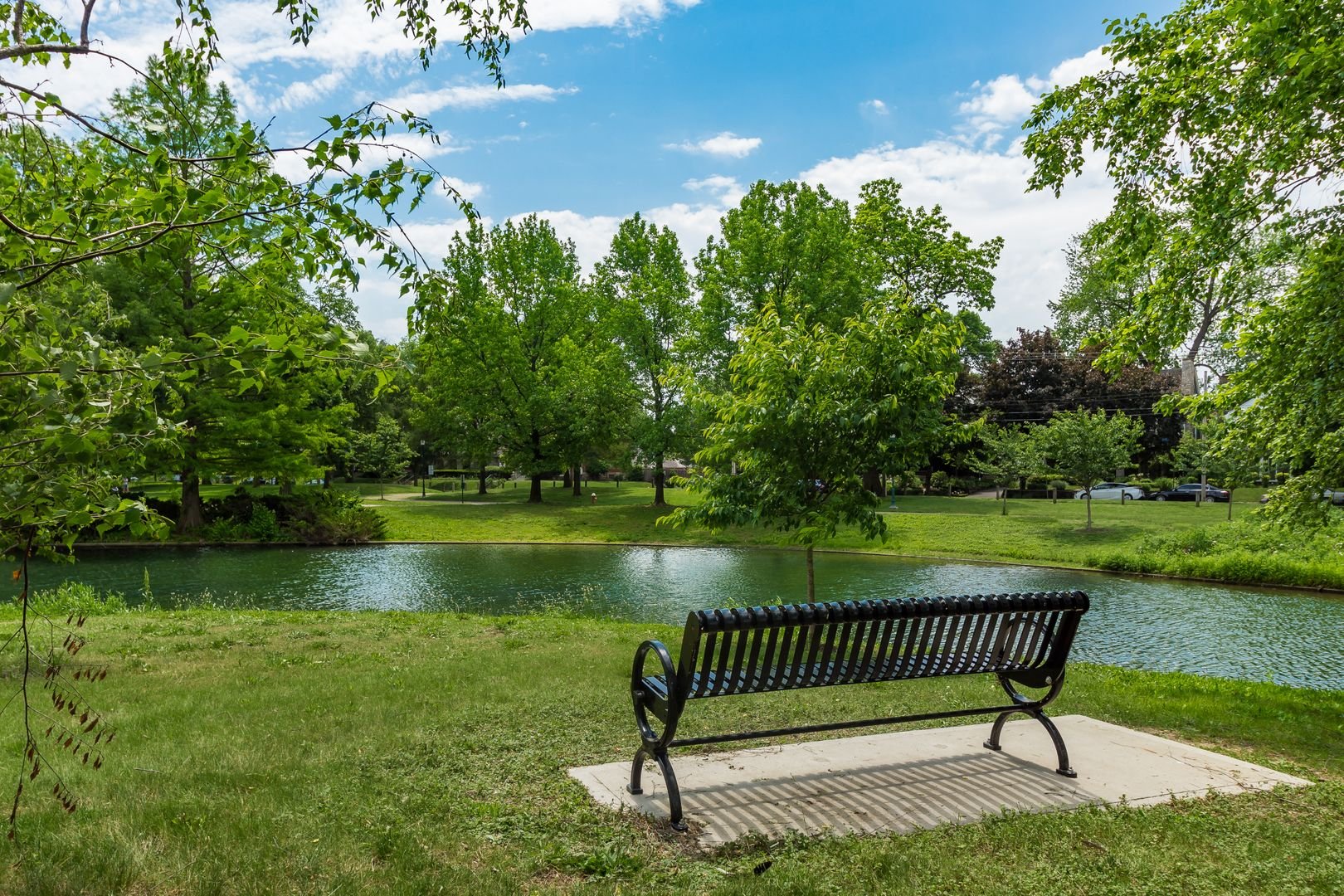 Park landscape with metal bench overlooking a tranquil pond, surrounded by green grass, trees, and blue sky.