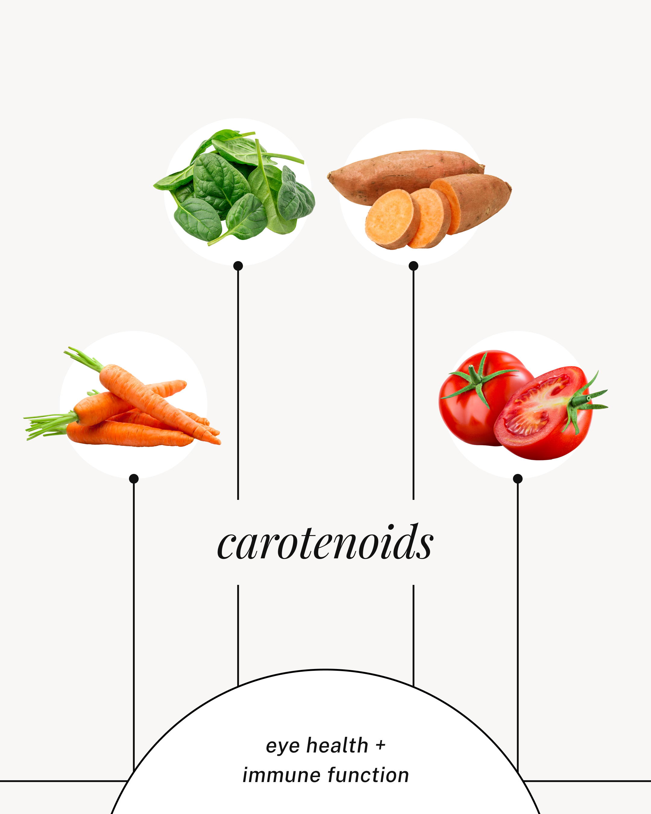 DSGN-12614 Infographic Carousel_IG Feed_03.png