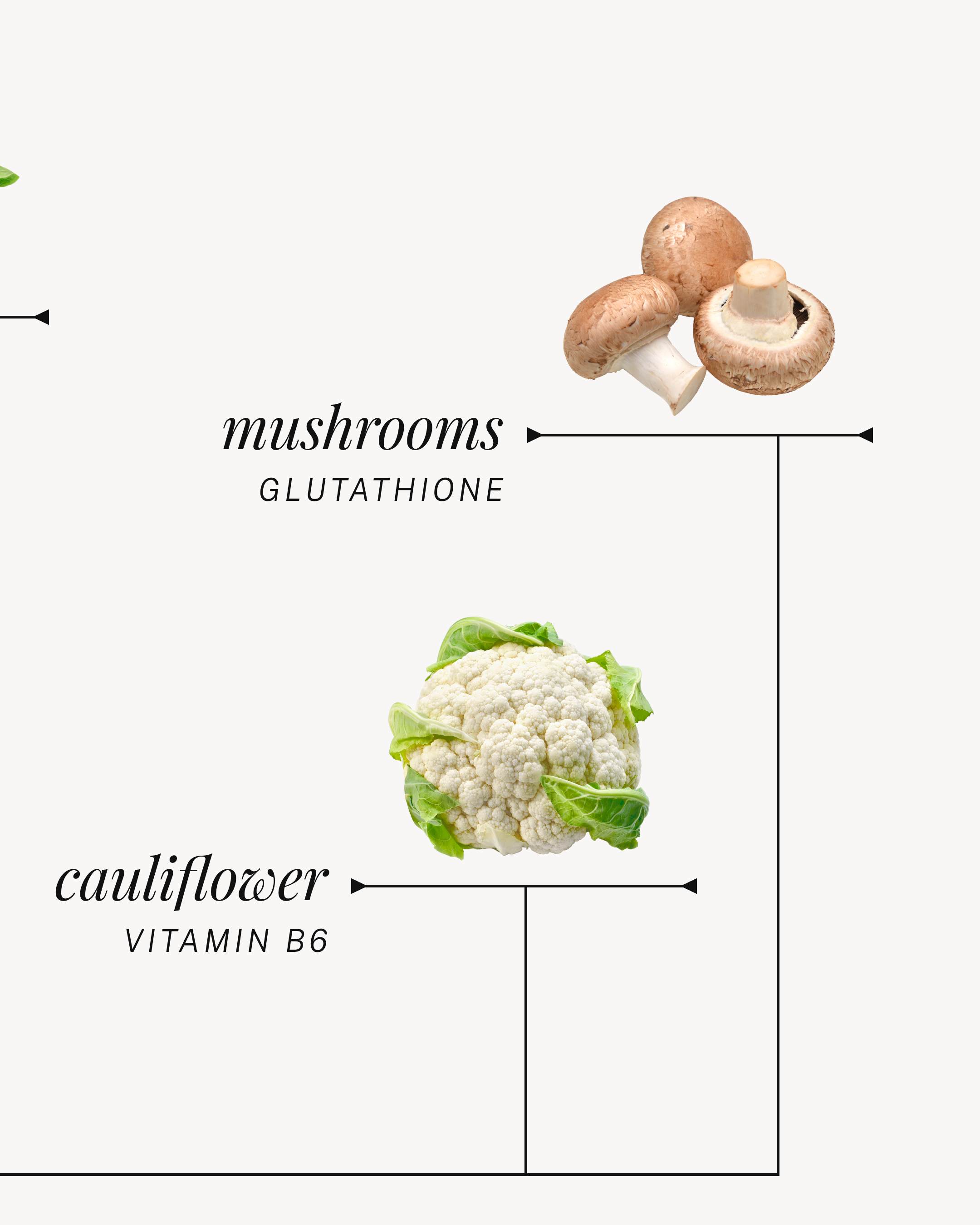 DSGN-12747_01 Infographic Carousel_IG Feed_05.png