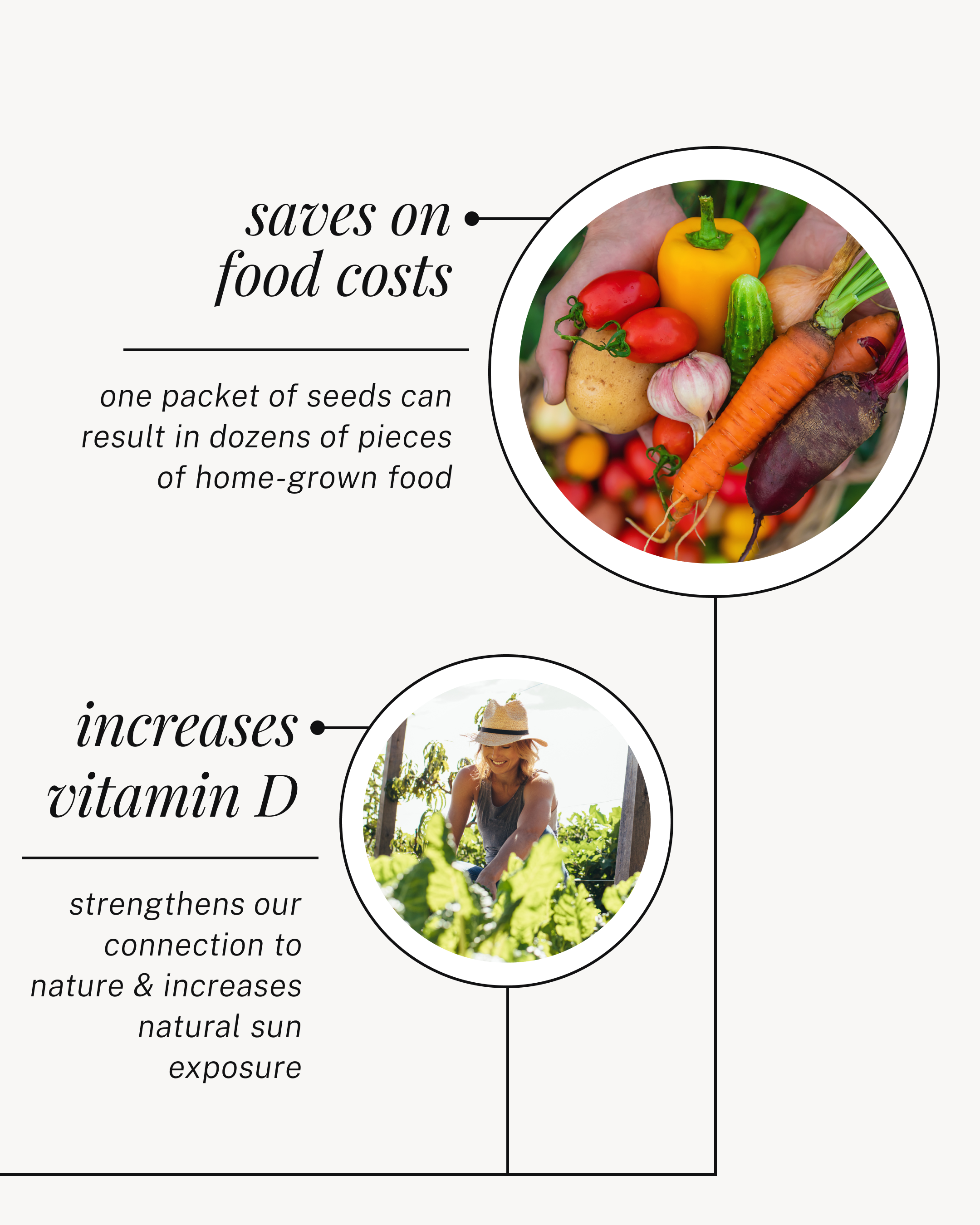 DSGN-12689_01 Infographic Carousel_IG Feed_04.png