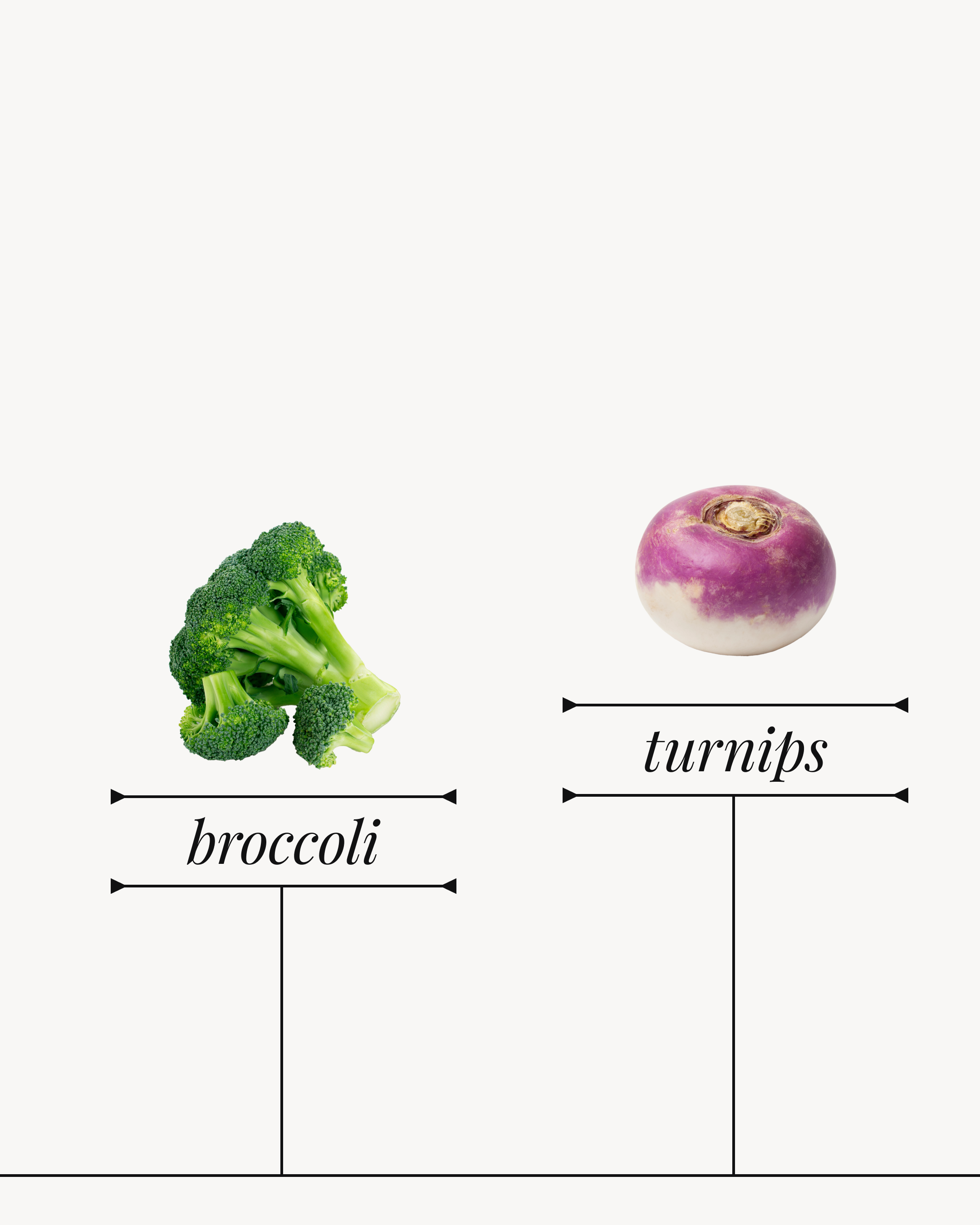 DSGN-12687 Infographic Carousel_IG Feed_02.png