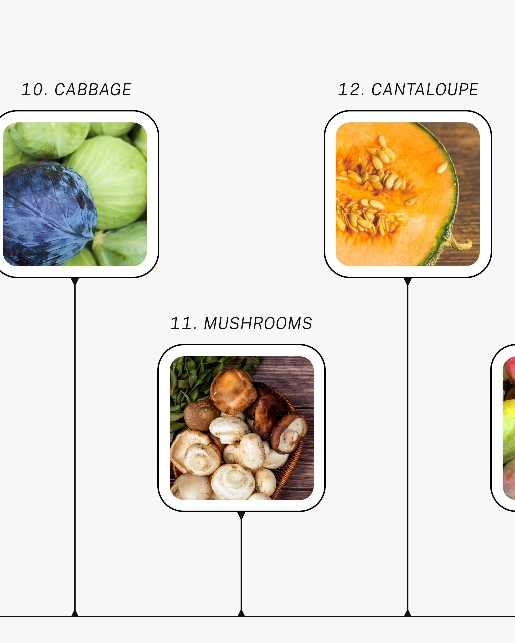 DSGN-13006_01 Infographic Carousel_IG Feed_05.png