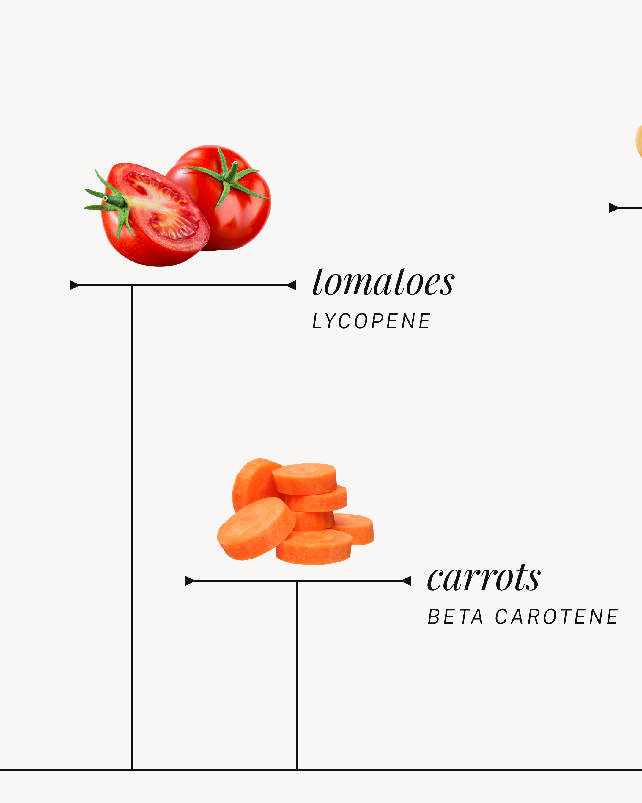 DSGN-12747_01 Infographic Carousel_IG Feed_02.png