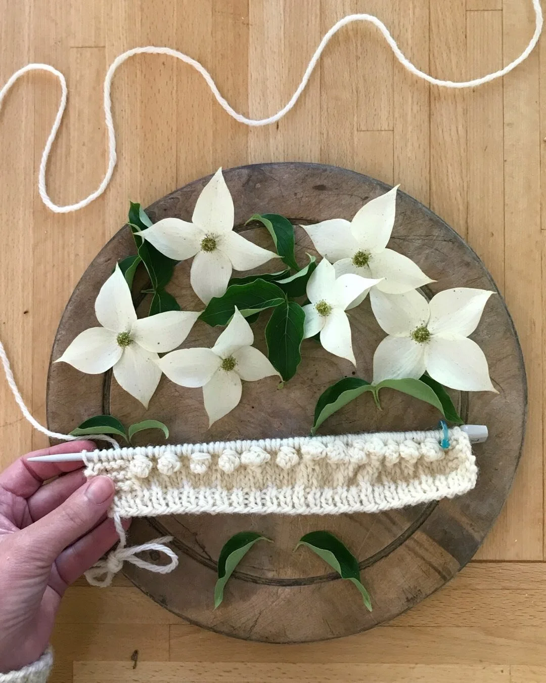 What do you think about the row of bobbles around the neck of this little sweater? I&rsquo;m excited to see how it turns out. To be honest, I like making bobbles but a row is about all I have patience to do.
.
Pattern: still in my head, we&rsquo;ll s