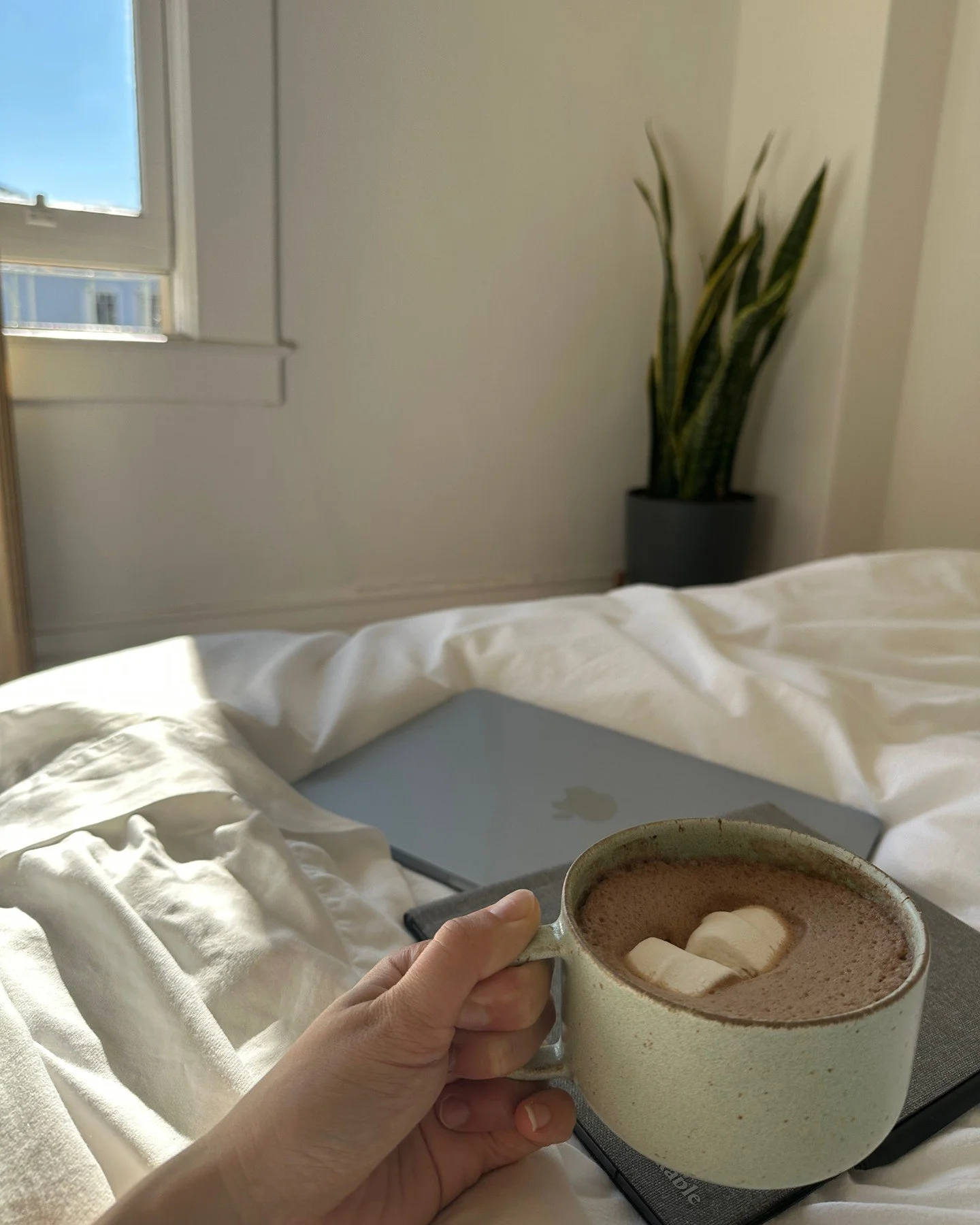 ☕️ hot chocolate + a sunny Friday afternoon spent in bed reading, journaling, and unwinding after a busy book launch week 📕❤️