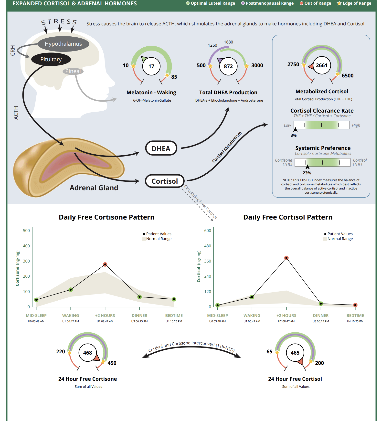 Are At-Home Hormone and Gut Tests Worth It?