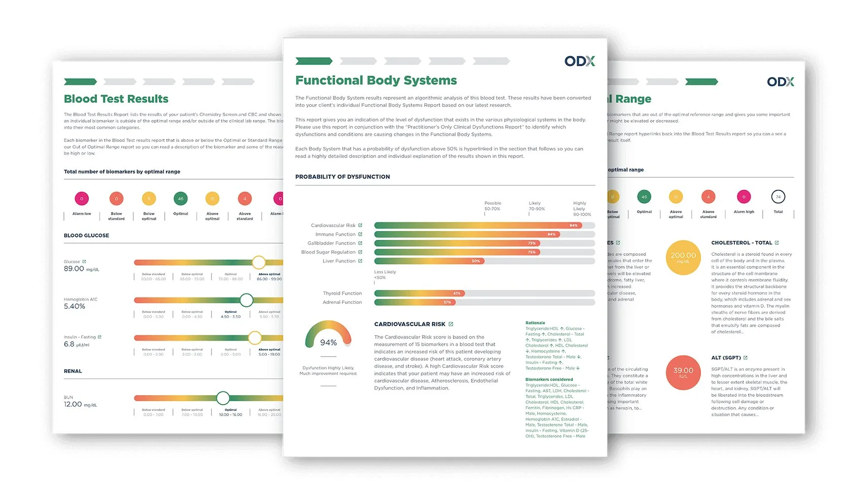 Functional Medicine Sample ODX Labs — Rachel Claire, HHC