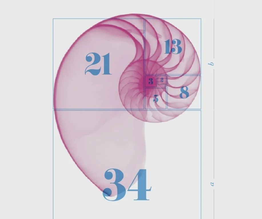 David Usher's Book - Let the elephants Run